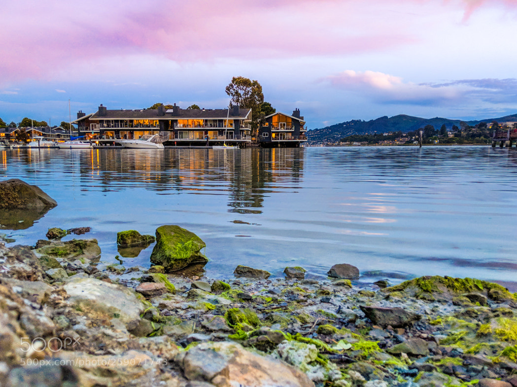 Google Pixel 2 XL sample photo. Sunset cove at tiburon photography