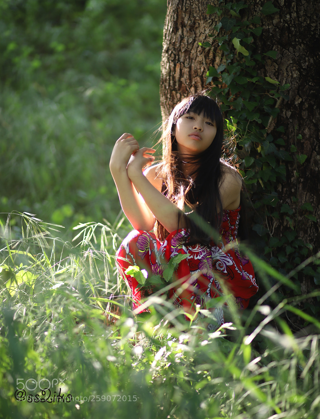 Canon EOS 6D Mark II sample photo. The glow of the photography