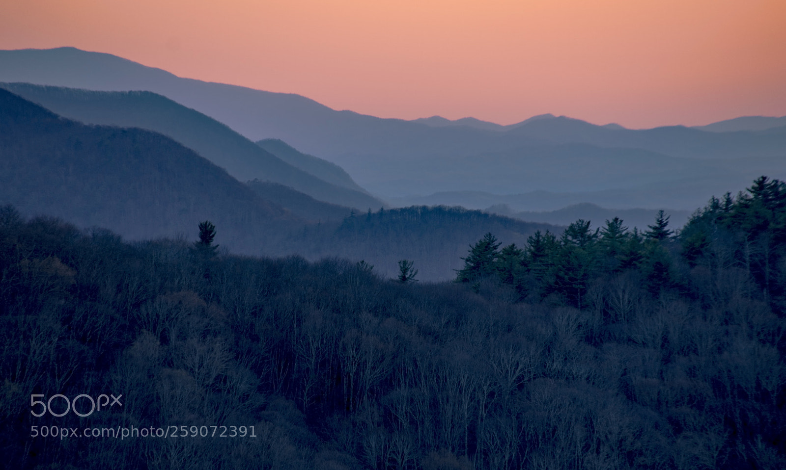 Nikon D5300 sample photo. Tennessee sunset photography