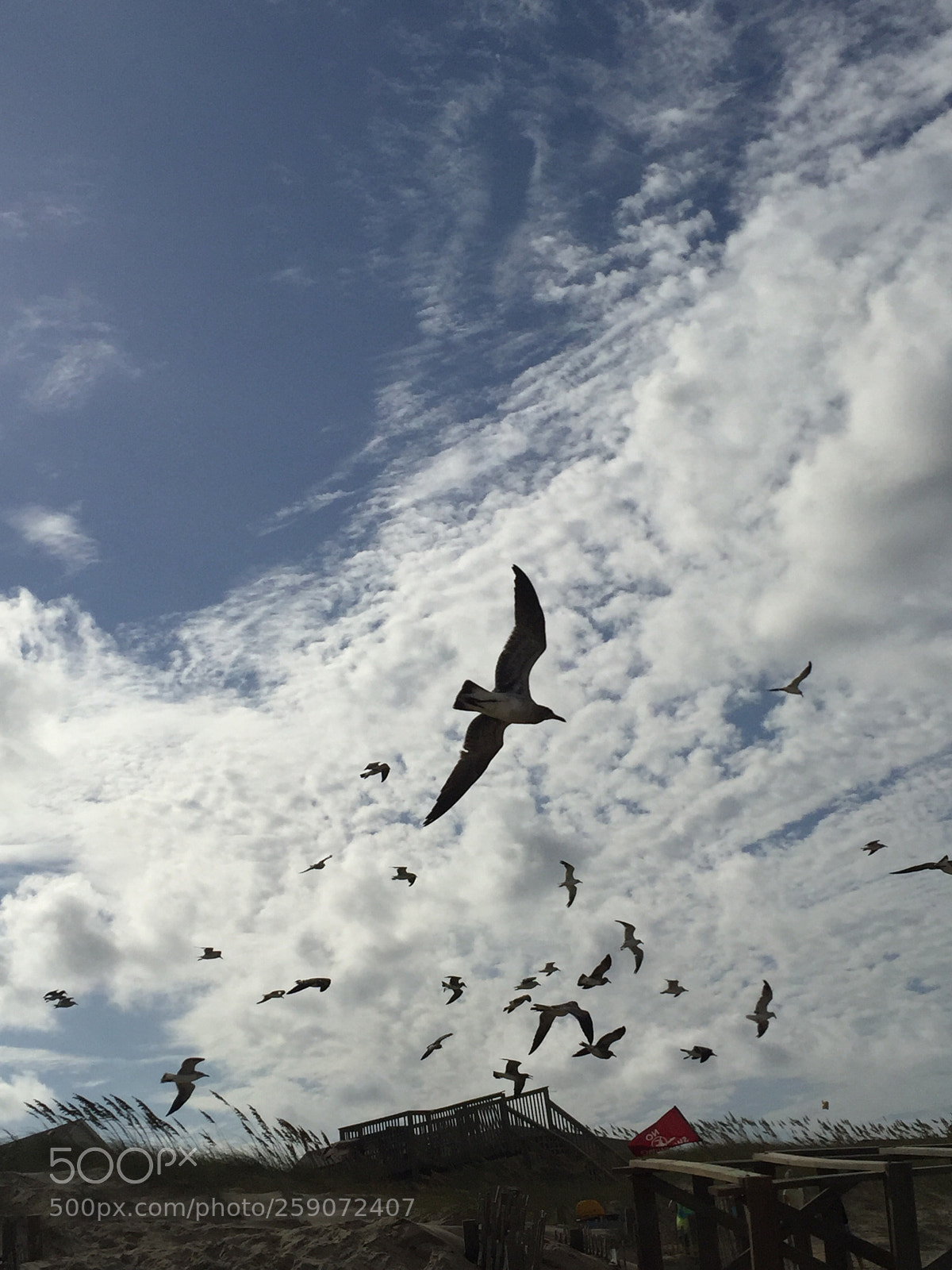 Apple iPhone 6 sample photo. Beach  photography