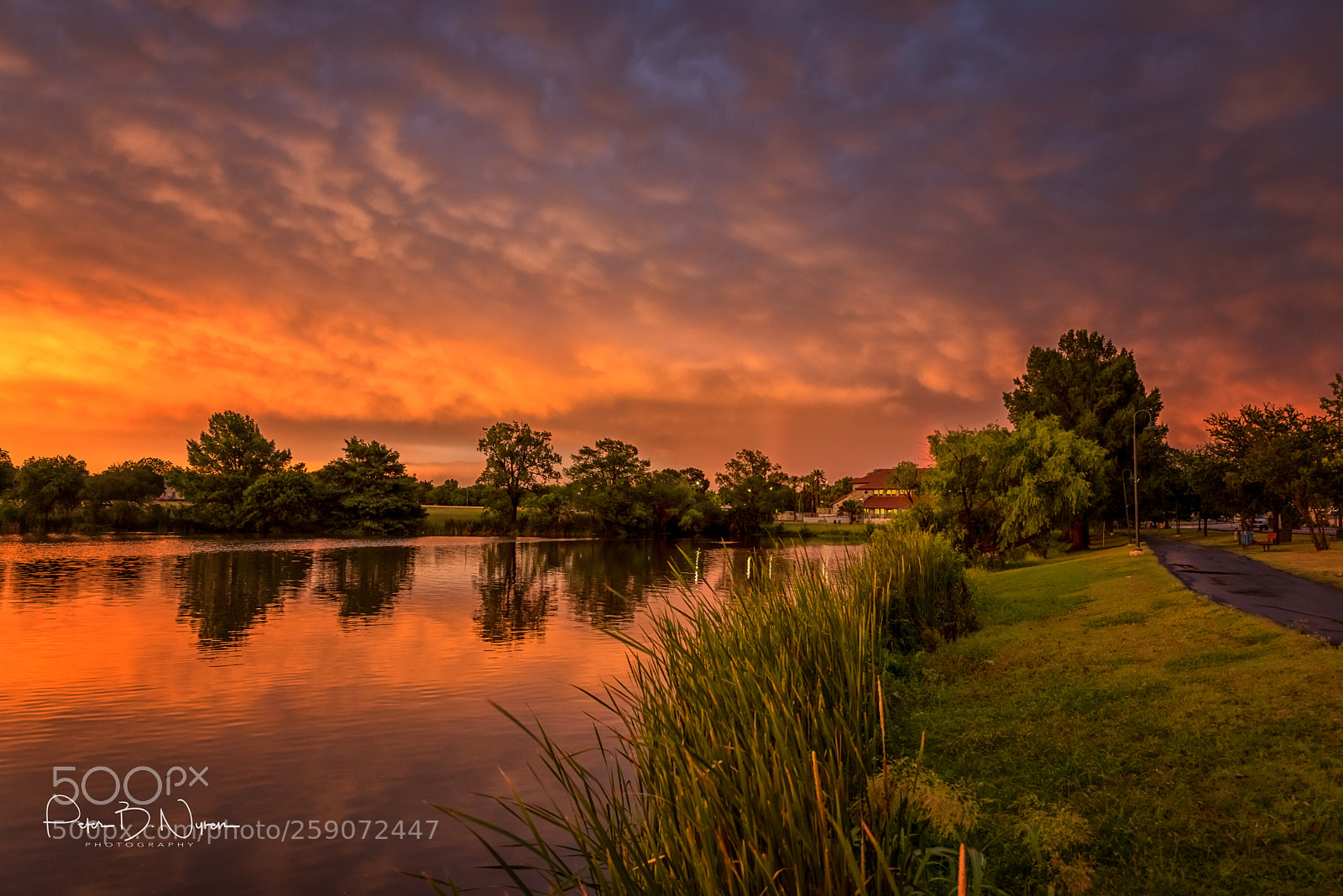 Nikon D750 sample photo. Sunset color photography