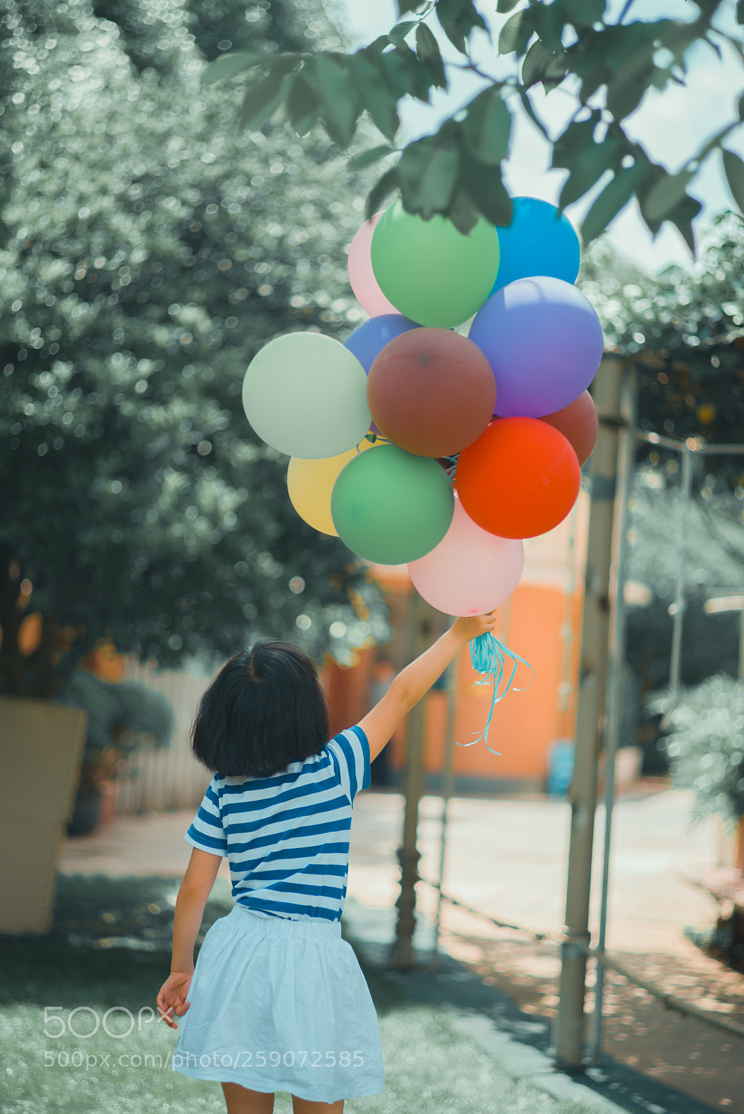 Pentax K-1 sample photo. Untitled photography