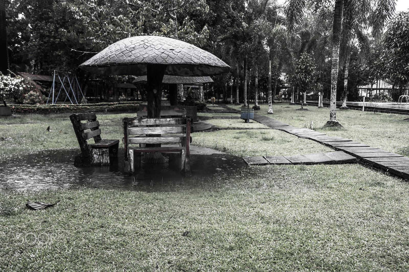 Fujifilm X-A10 sample photo. Gardenhut photography