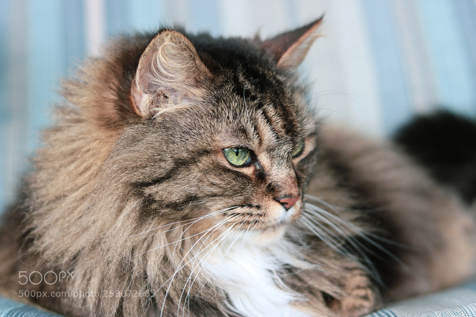 Canon EOS 750D (EOS Rebel T6i / EOS Kiss X8i) sample photo. 05/22/18 photography