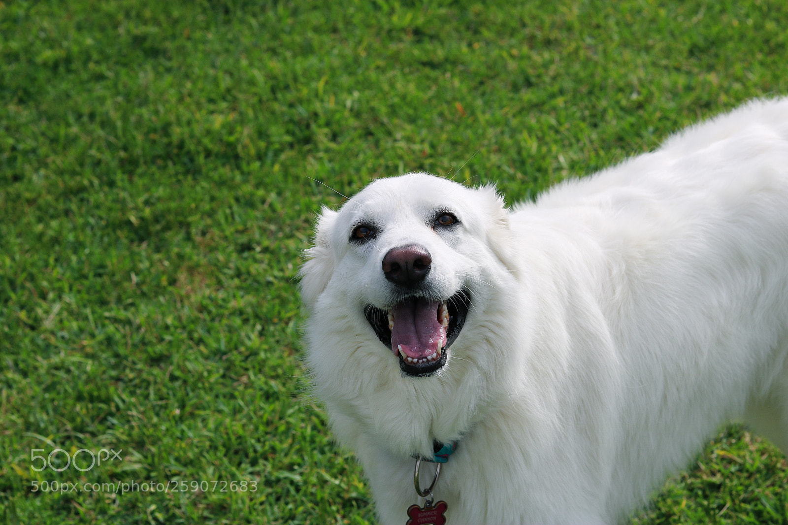 Canon EOS 750D (EOS Rebel T6i / EOS Kiss X8i) sample photo. 05/22/18 photography