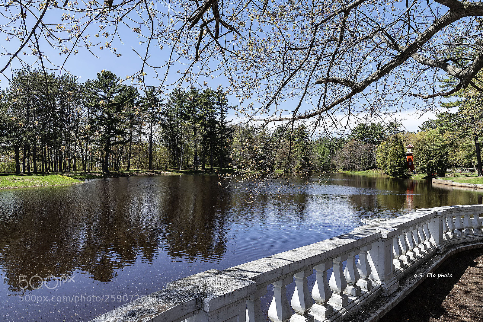 Canon EOS 6D Mark II sample photo. Little lake .. photography