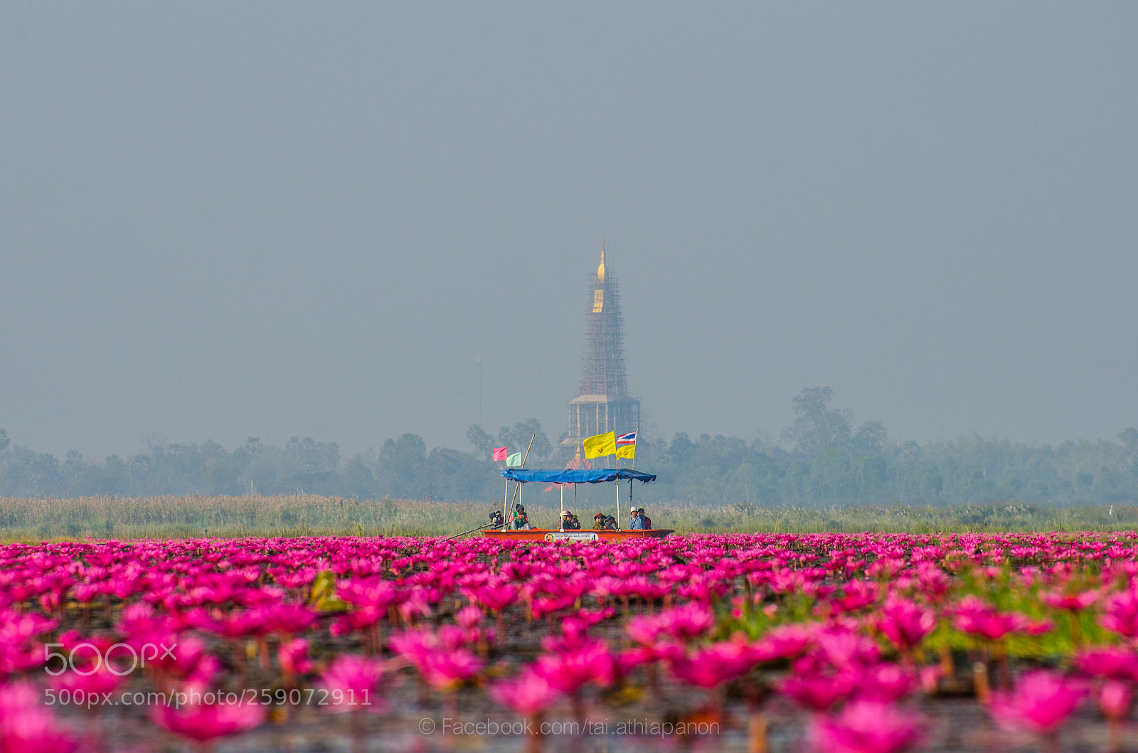 Nikon D7000 sample photo. Lotus lake photography