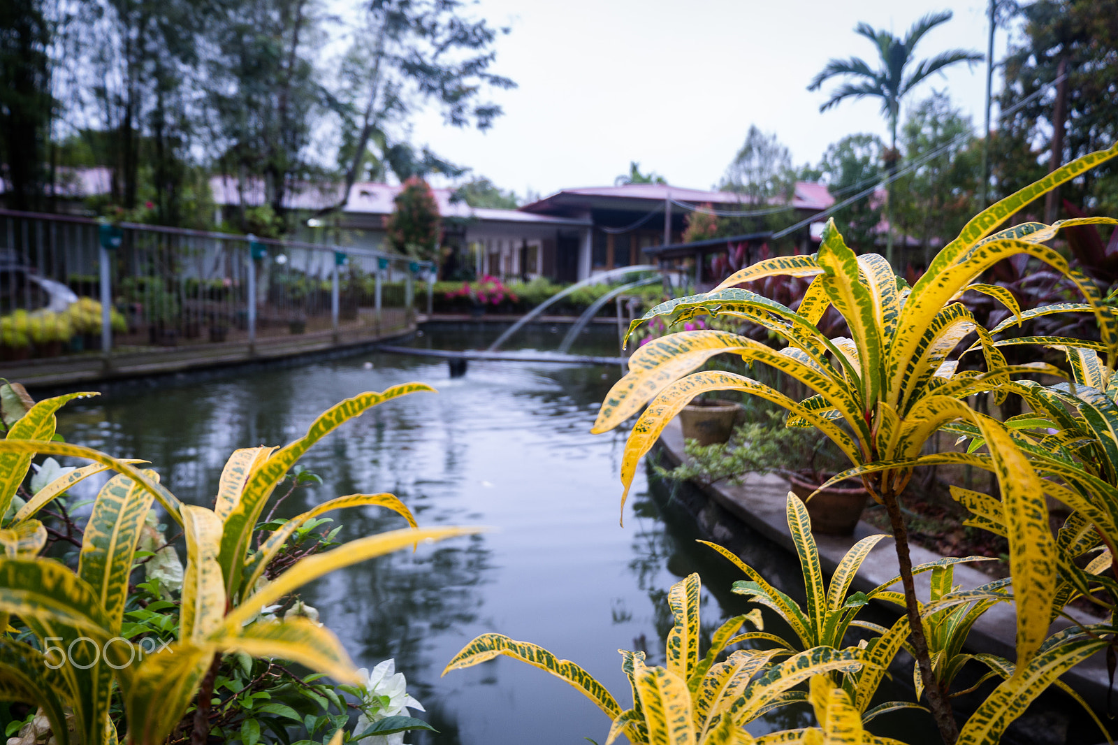 Fujifilm X-A10 sample photo. Gardenpond photography