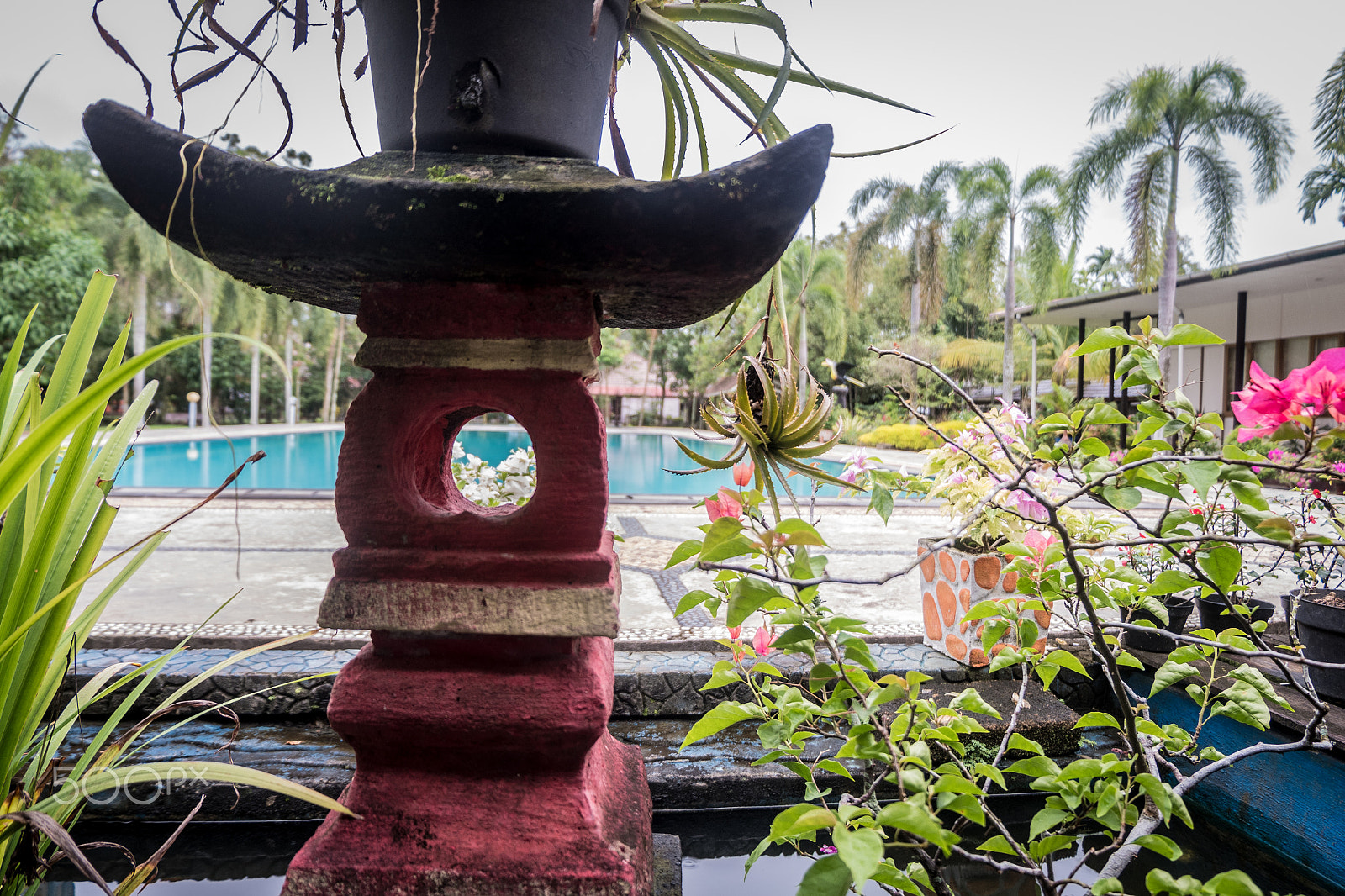 Fujifilm X-A10 sample photo. Gardenpot photography