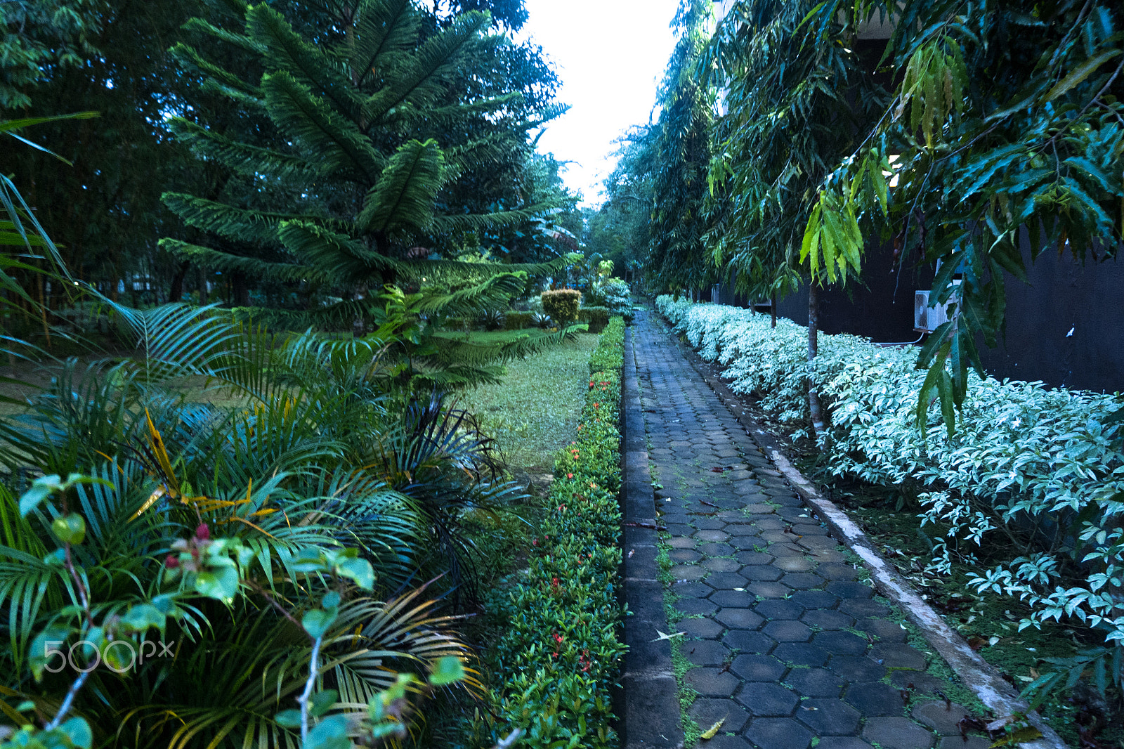 Fujifilm X-A10 sample photo. Gardenroad photography