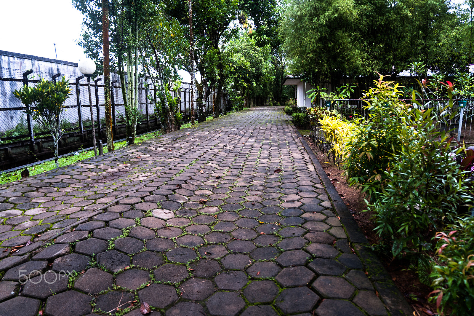 Fujifilm X-A10 sample photo. Gardenroad photography