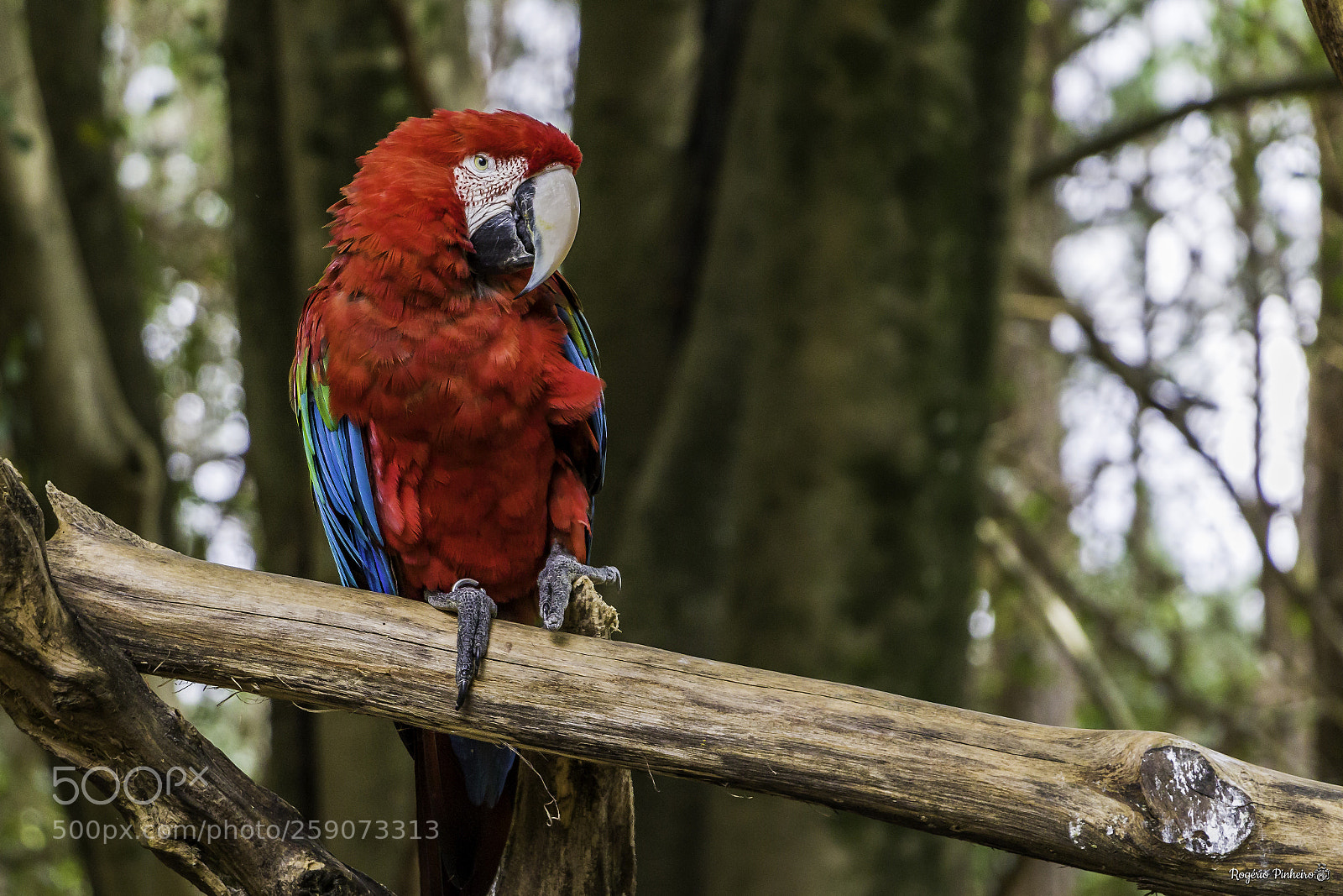 Canon EOS 7D Mark II sample photo. Zoo parque photography