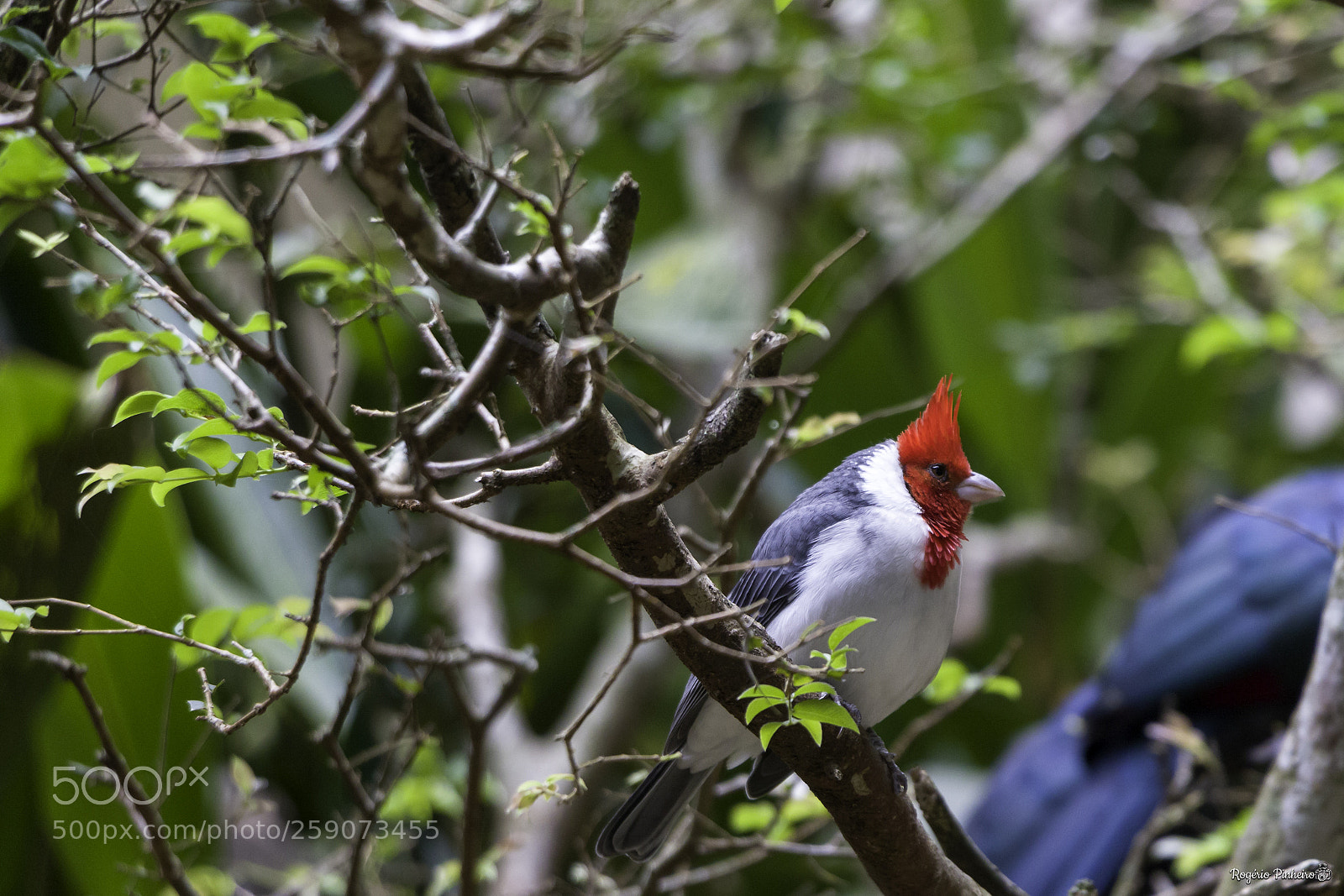Canon EOS 7D Mark II sample photo. Zoo parque photography