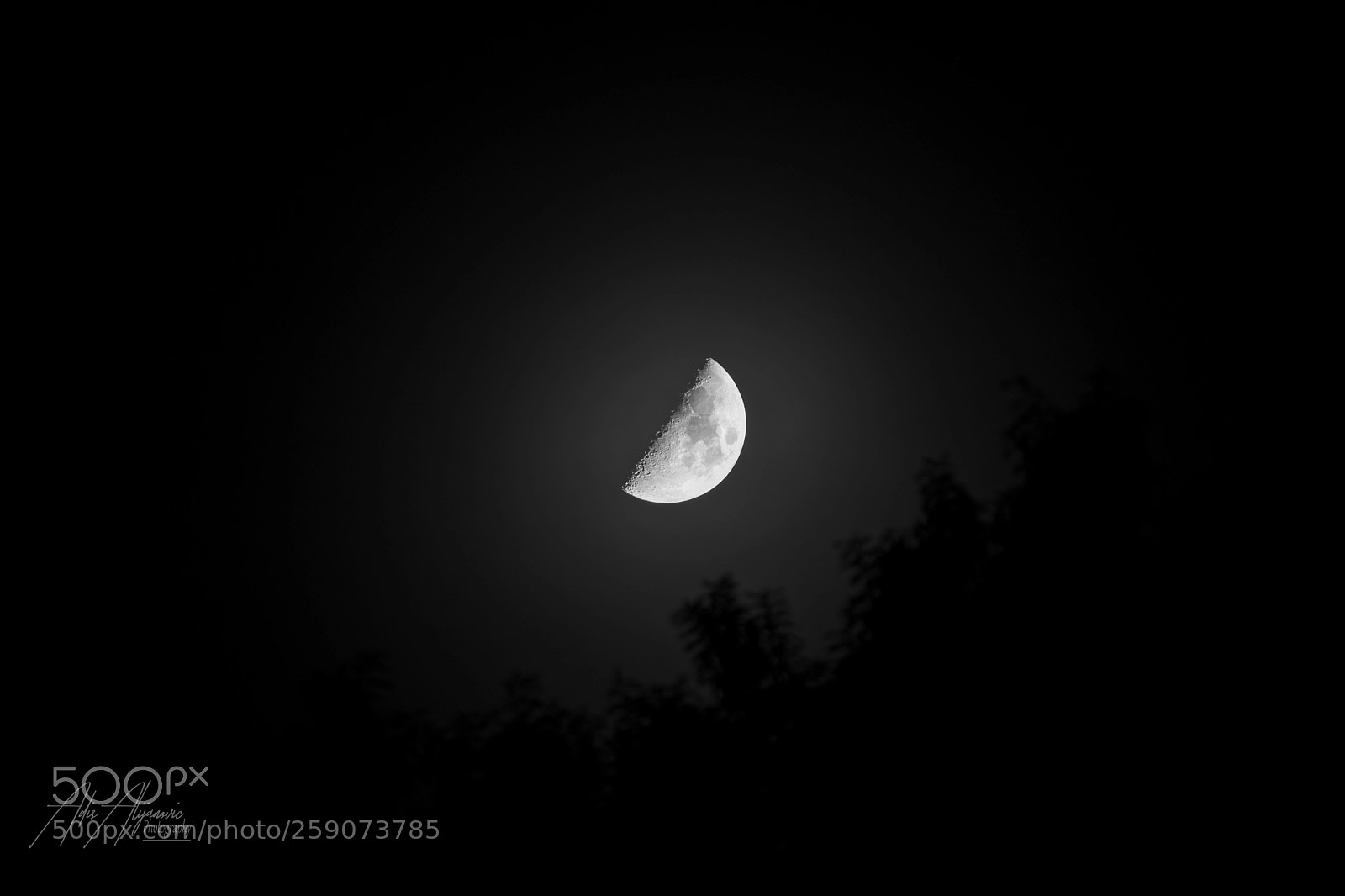 Nikon D5300 sample photo. Half moon photography