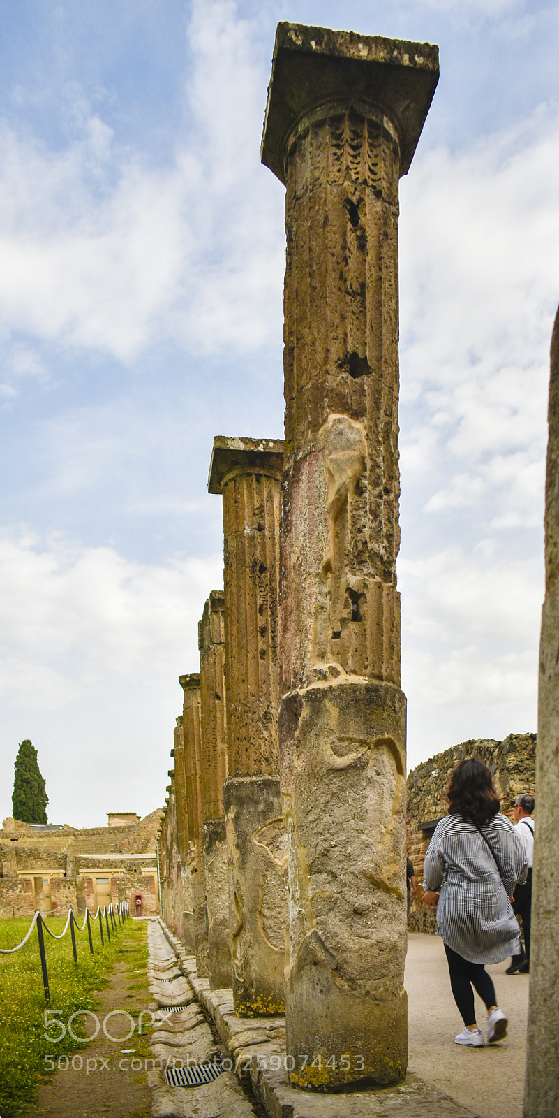 Nikon D3400 sample photo. 枯木前头万木春 photography