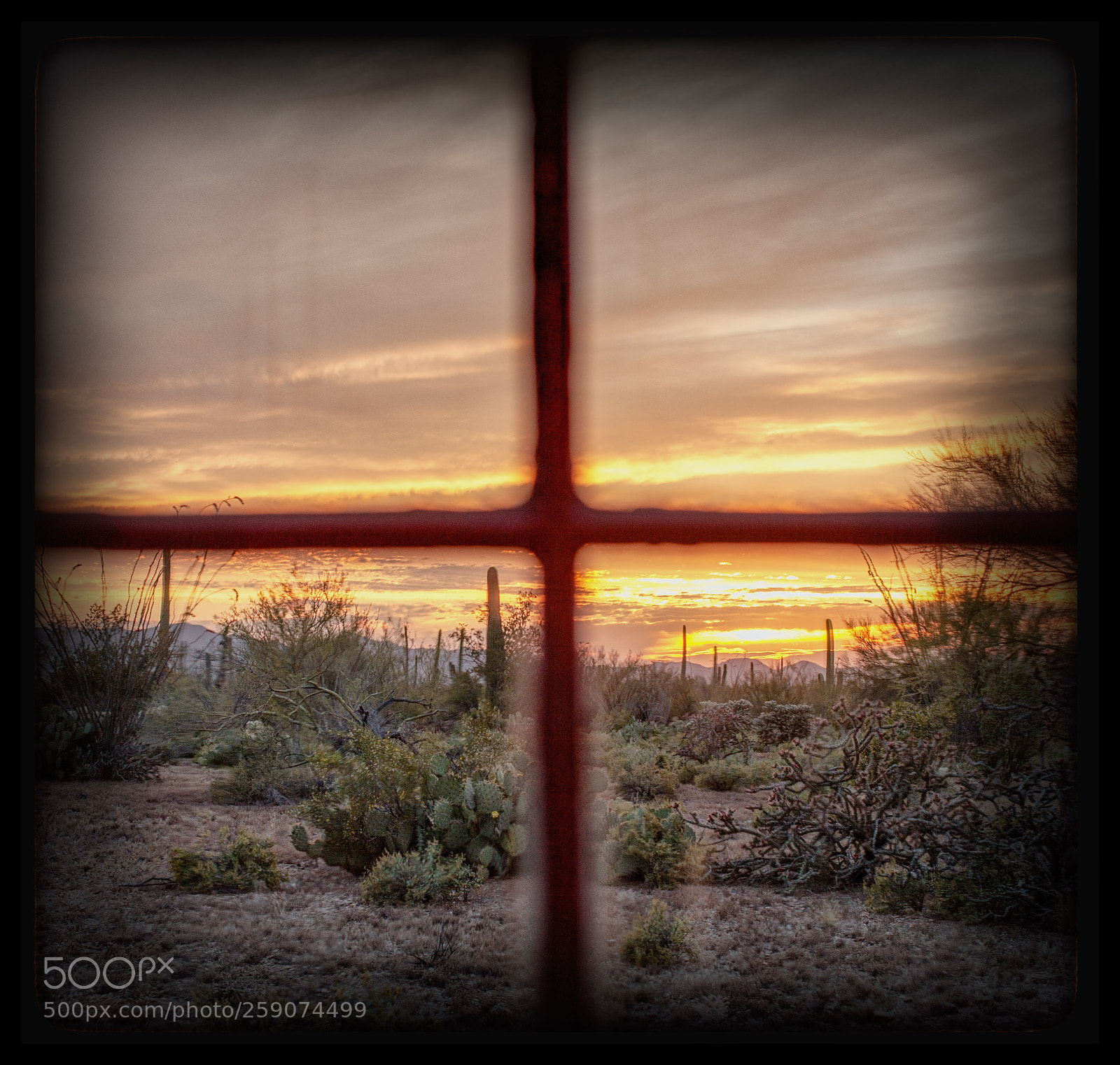 Canon EOS 5D Mark II sample photo. Saguaro saloon photography