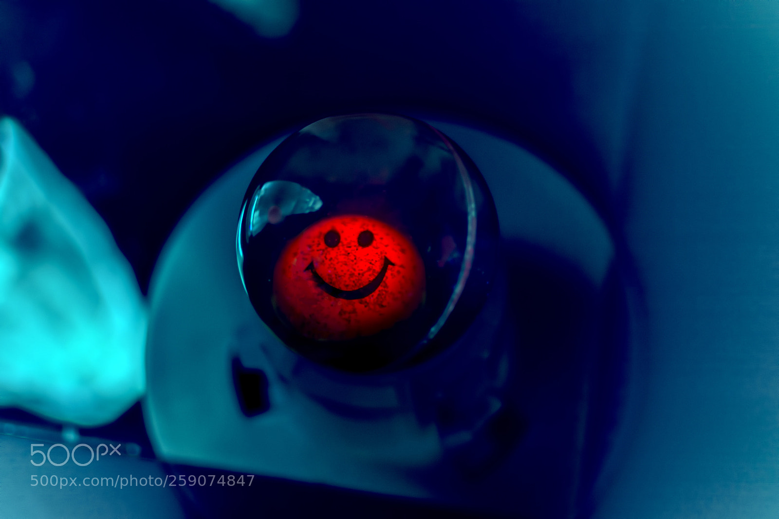 Nikon D7200 sample photo. Smiley face photography