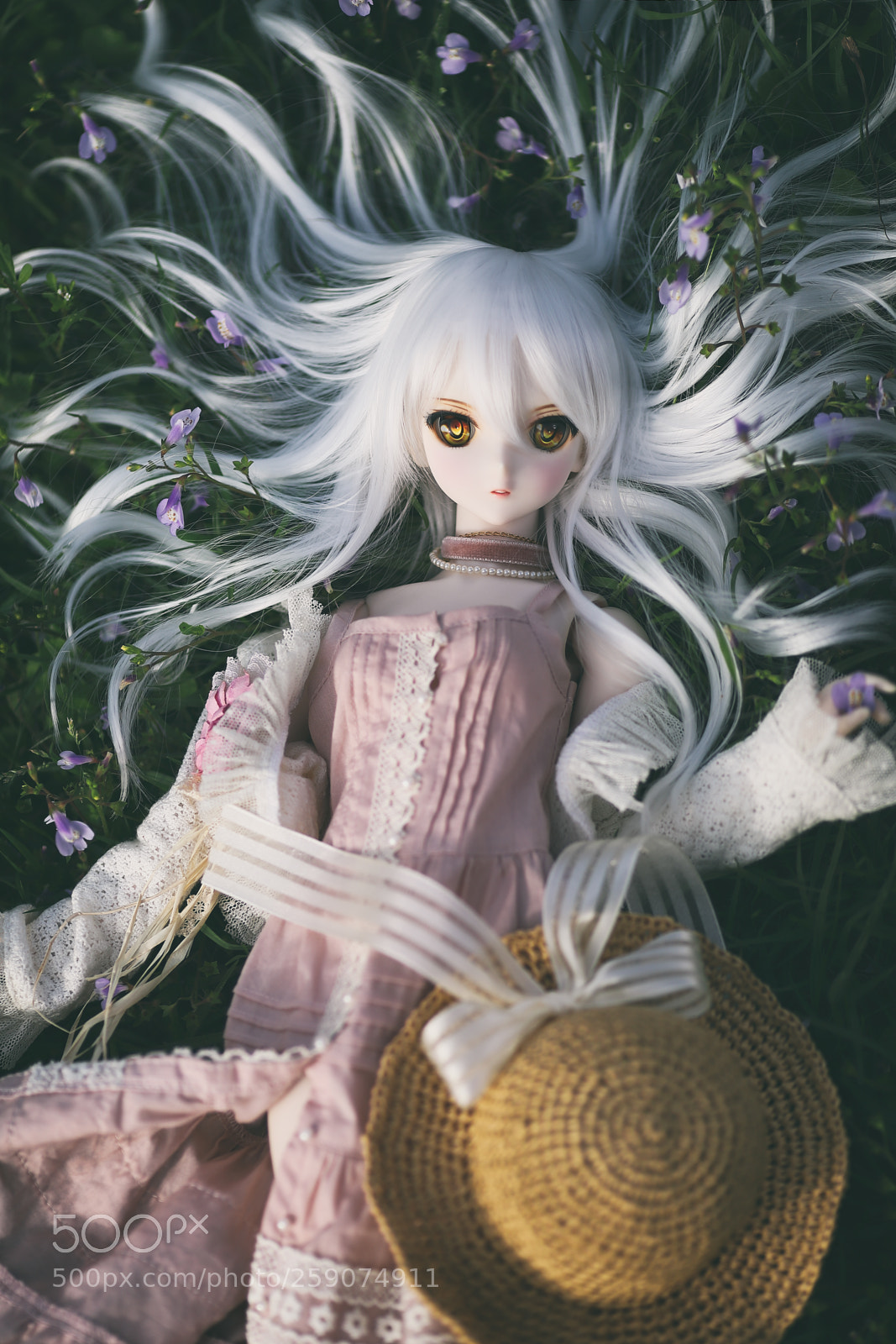 Canon EOS 6D Mark II sample photo. 魔性的美 photography
