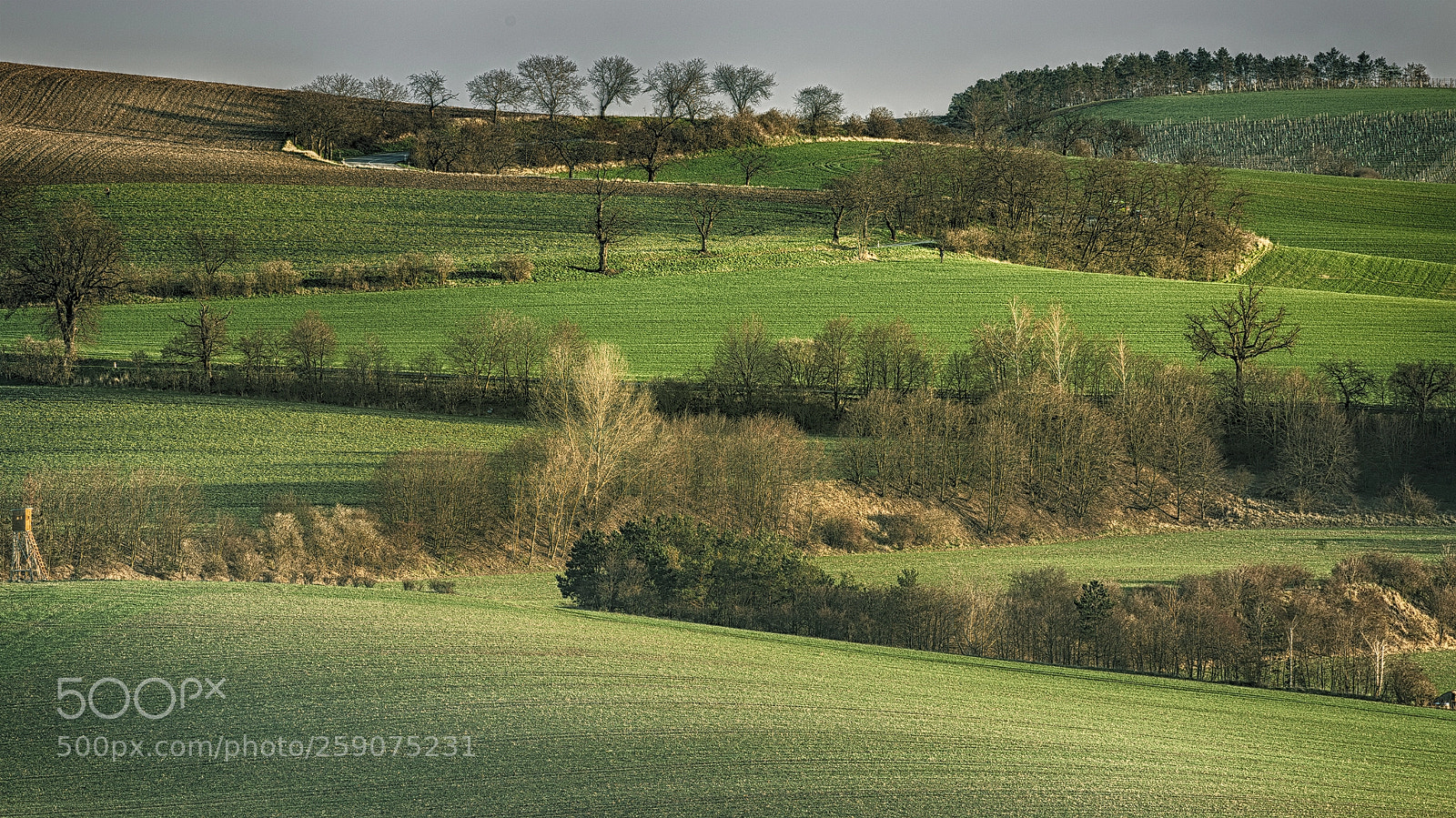 Nikon D610 sample photo. Moravian fields photography
