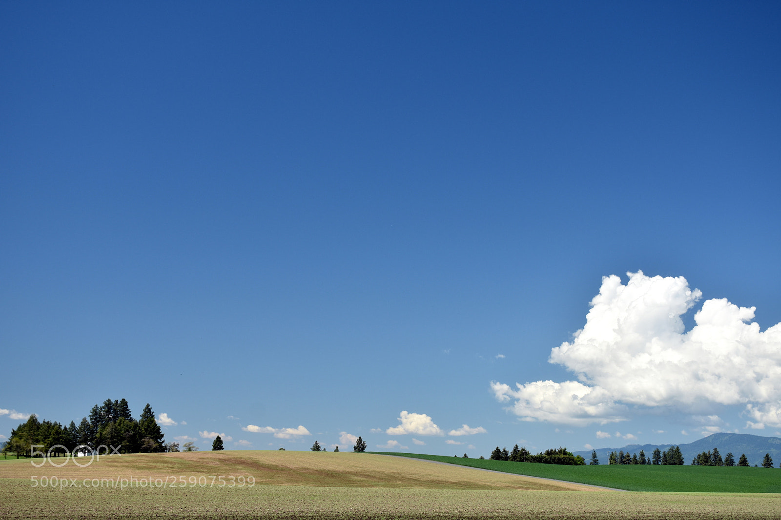 Nikon D3400 sample photo. Farm land by bethany photography