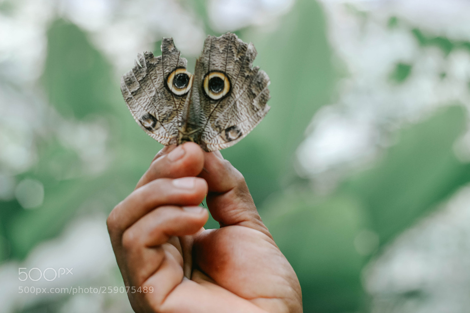 Canon EOS 600D (Rebel EOS T3i / EOS Kiss X5) sample photo. Iquitos photography