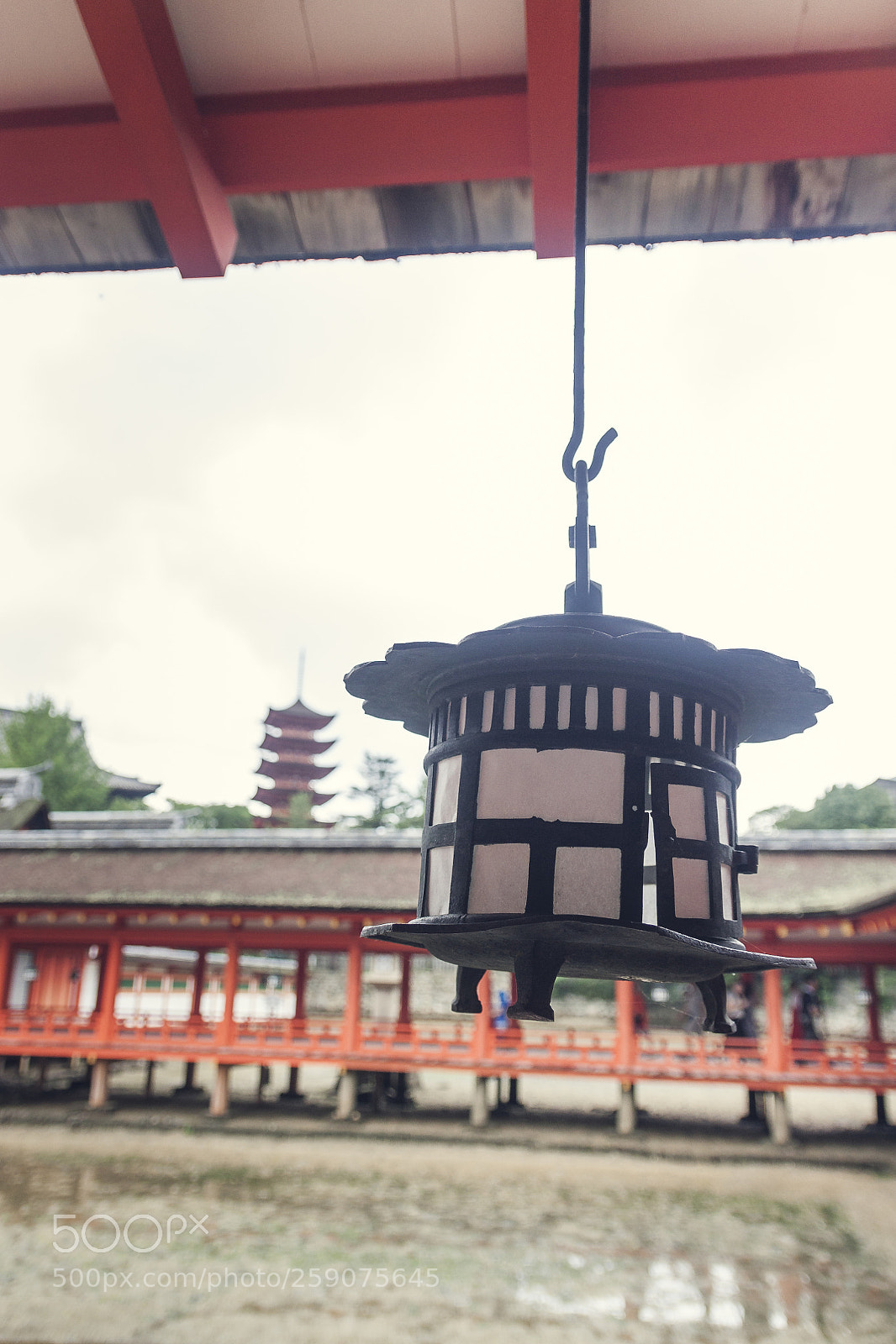 Canon EOS 450D (EOS Rebel XSi / EOS Kiss X2) sample photo. Itsukushima photography