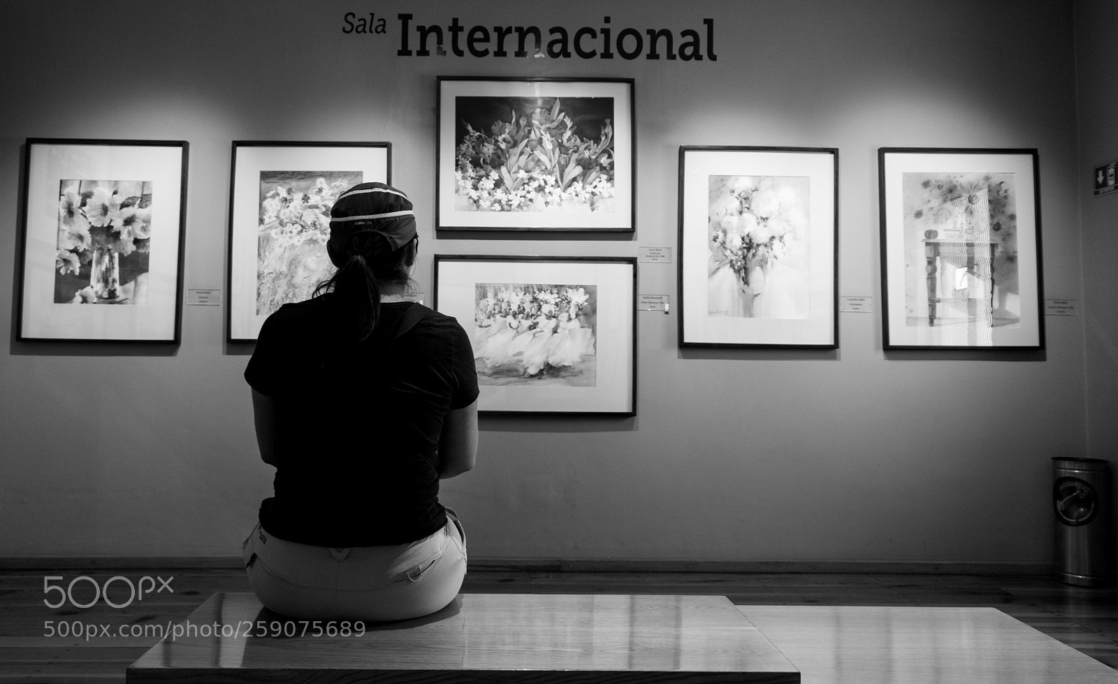 Canon EOS 80D sample photo. Untitled photography