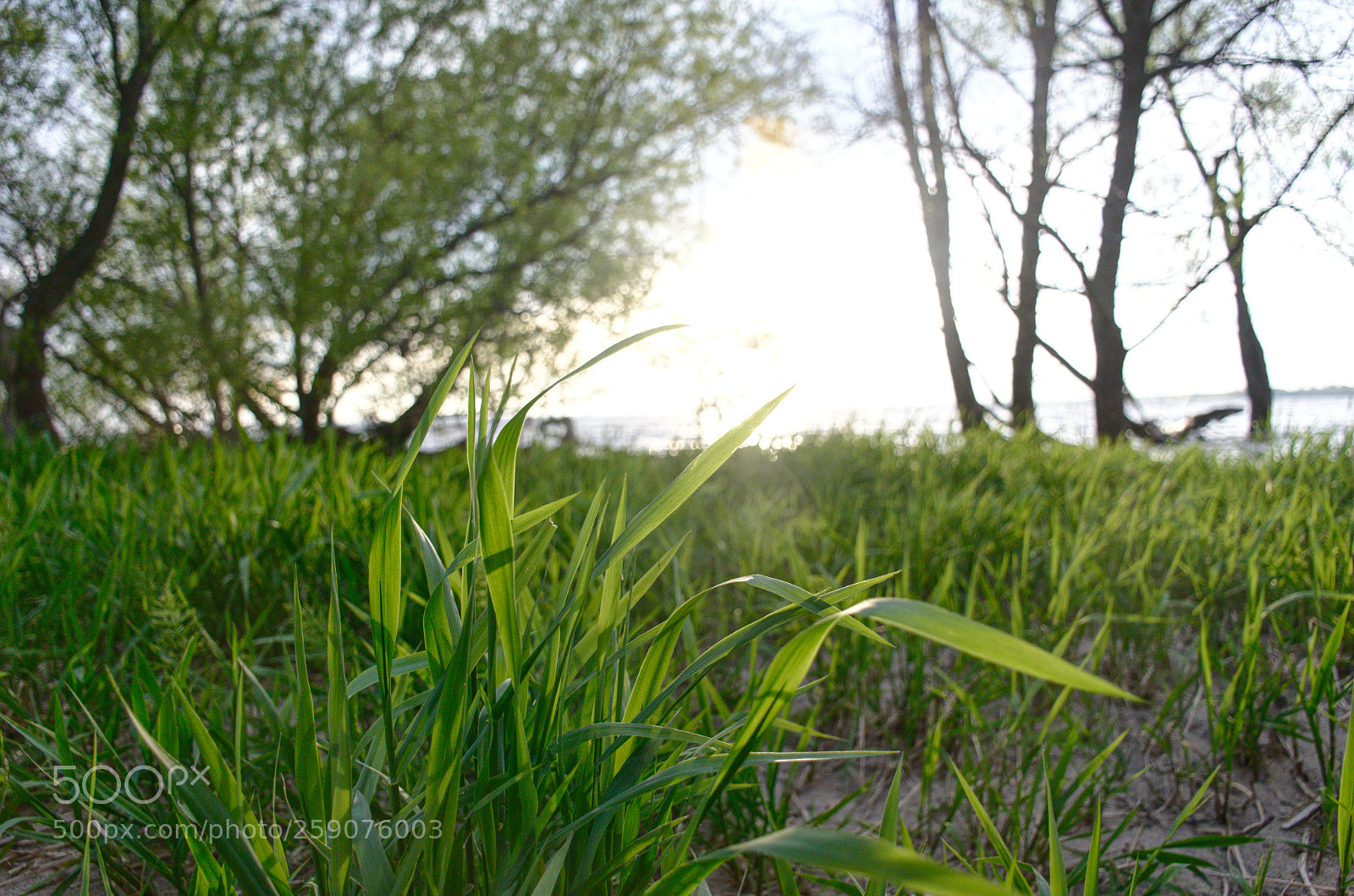 Nikon D7000 sample photo. Sunset photography