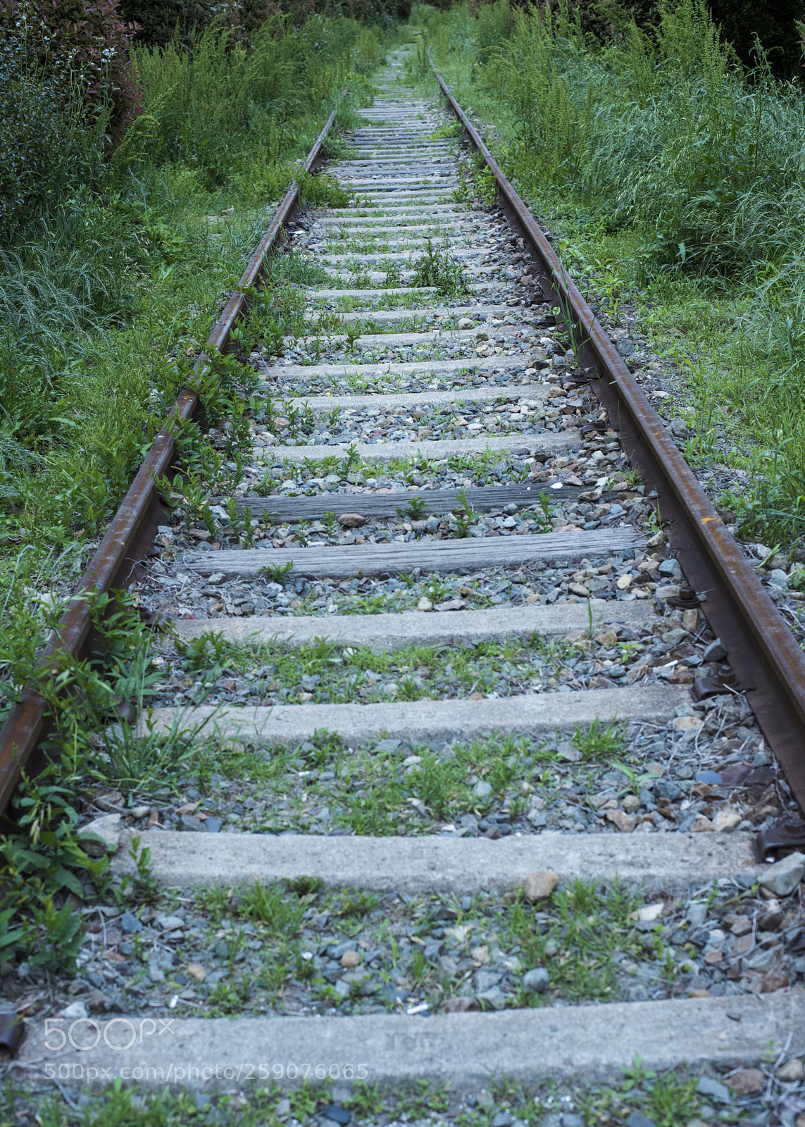 Nikon D810 sample photo. On the railroad   no.9 photography