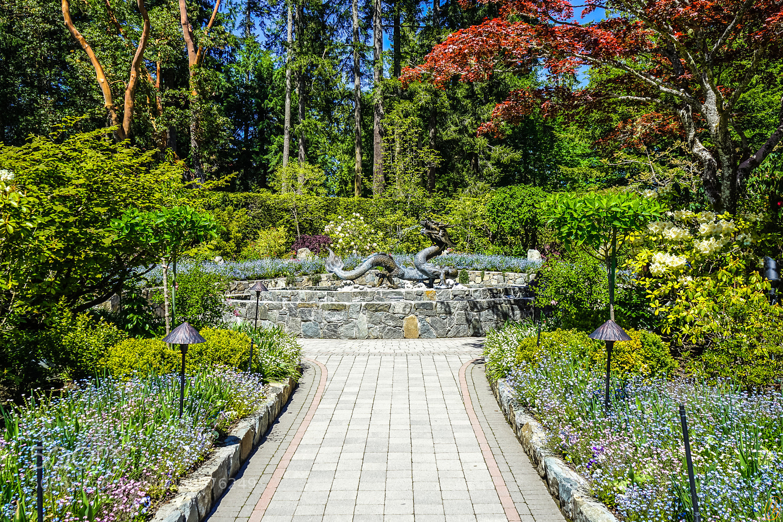 Sony a7 II sample photo. Butchart gardens photography