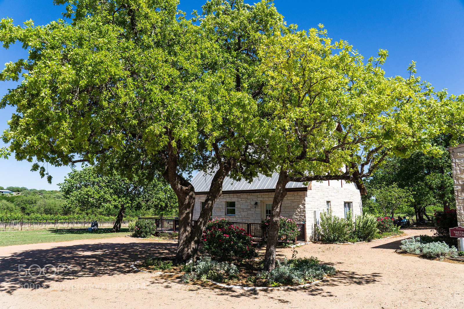 Sony a7 III sample photo. Westcave cellars photography