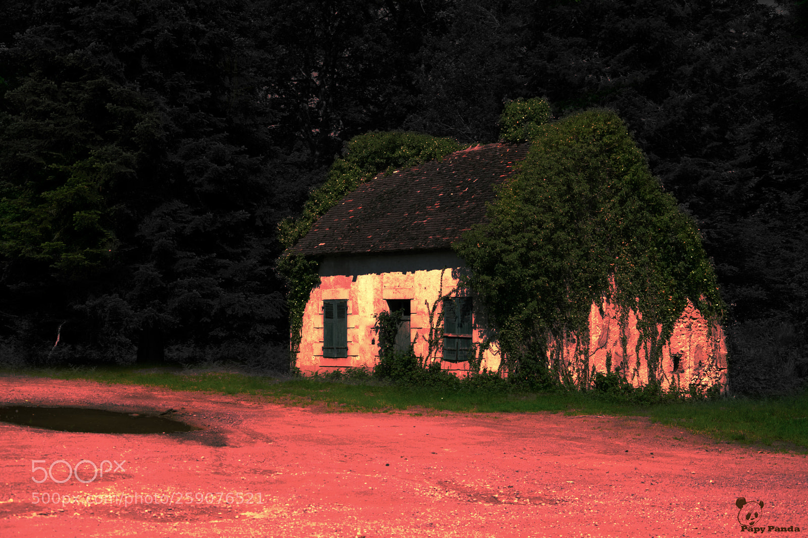 Nikon D5300 sample photo. Maison forestiere photography