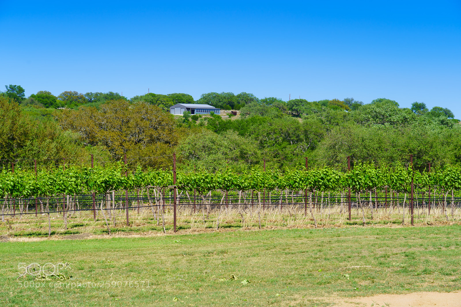 Sony a7 III sample photo. Westcave cellars photography