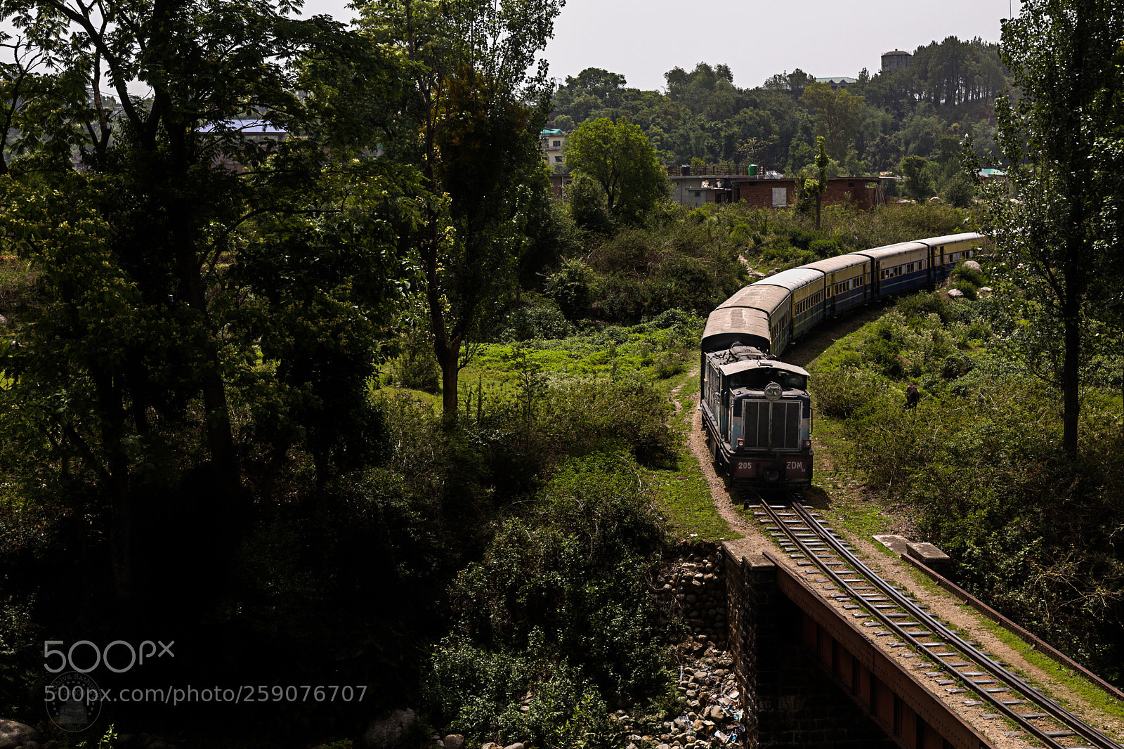 Canon EOS 5D Mark IV sample photo. Ptks zdm4a 205 with photography