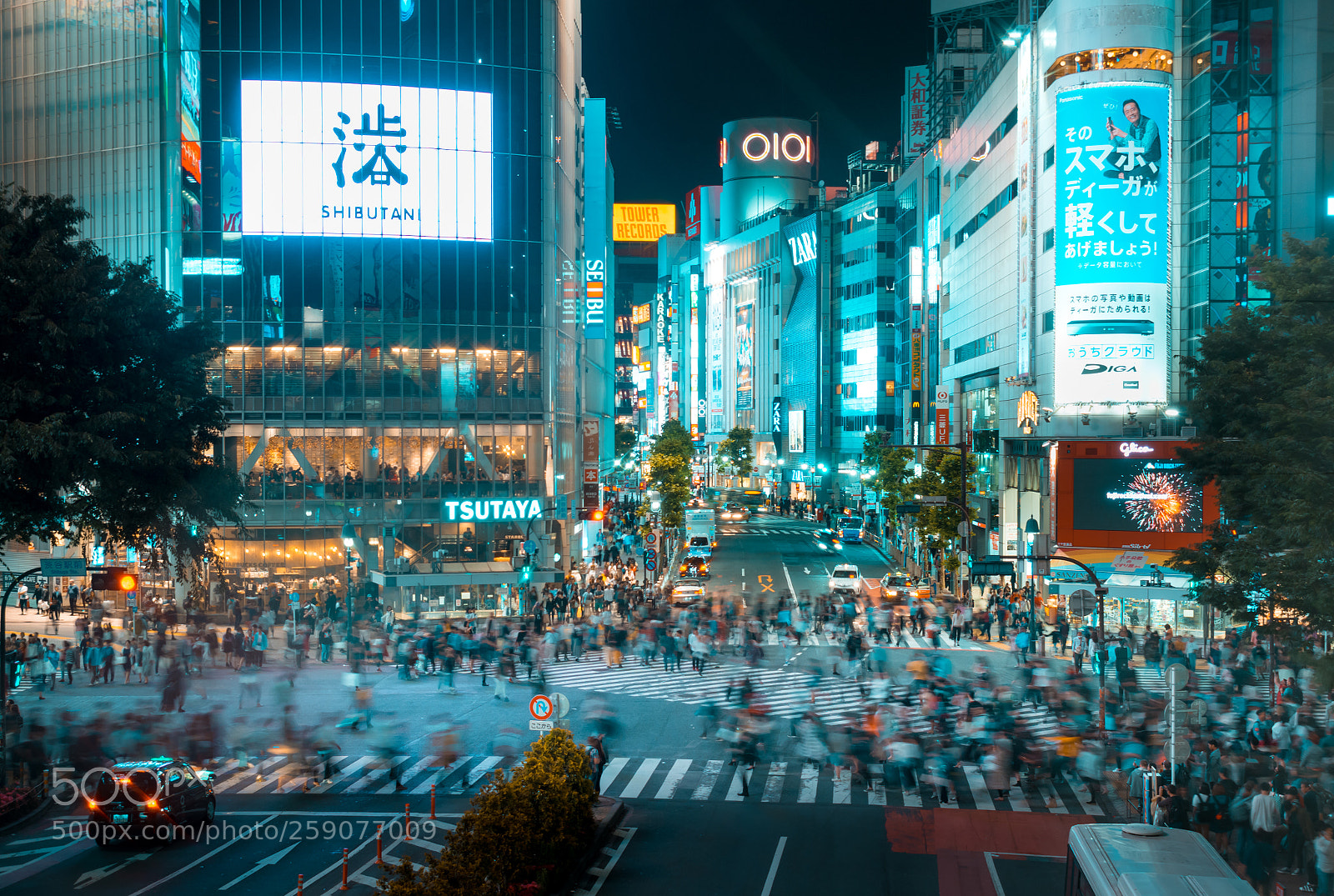 Nikon D5600 sample photo. Shibuya photography
