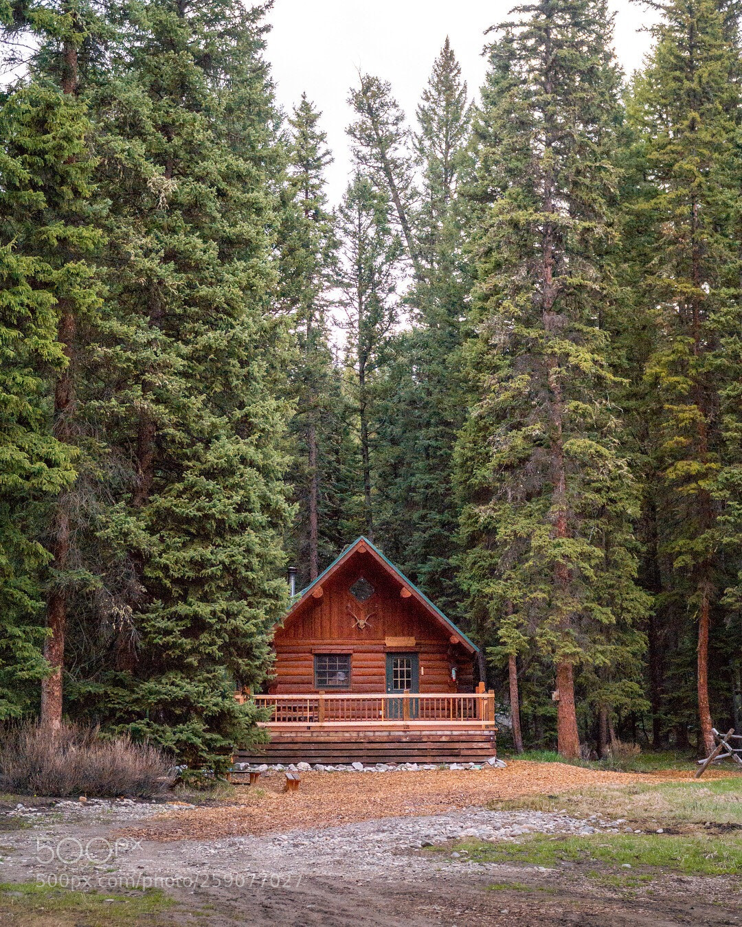 Sony a6000 sample photo. Cabin fever photography