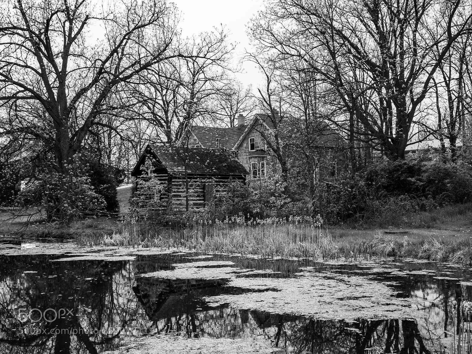 Panasonic Lumix DC-G9 sample photo. Kelso conservation area photography