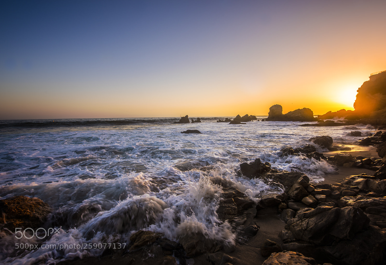 Nikon D810 sample photo. Little corona photography