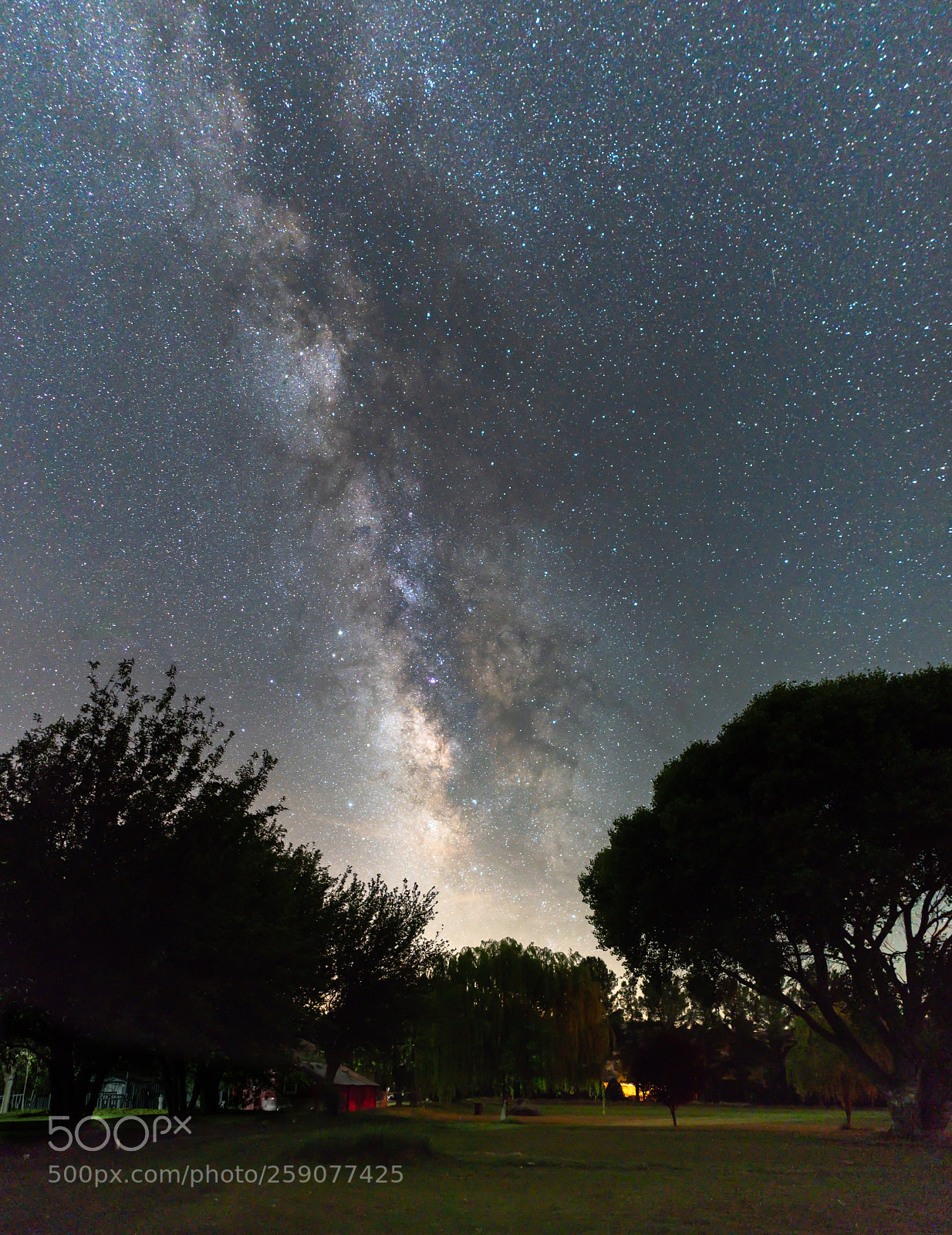 Sony a7 III sample photo. Vertical panorama of milky photography
