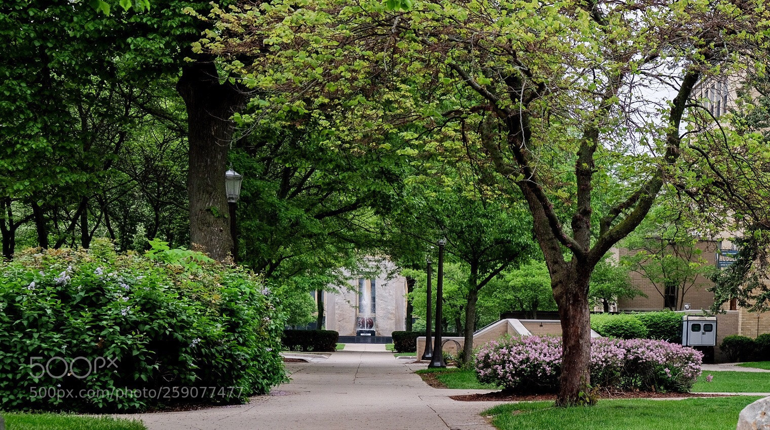 Fujifilm X-H1 sample photo. Und campus, in  photography