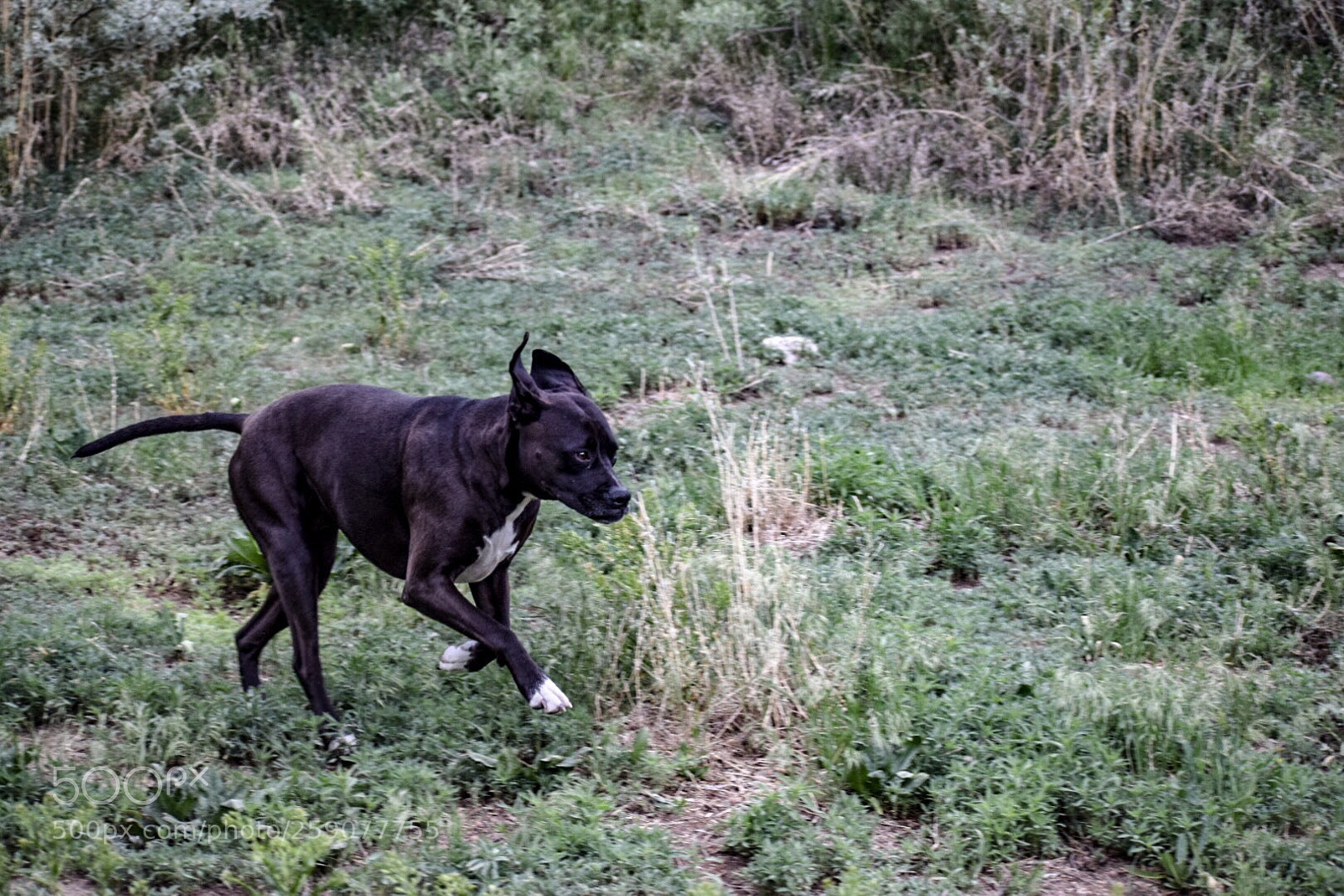 Nikon D5300 sample photo. Untitled photography