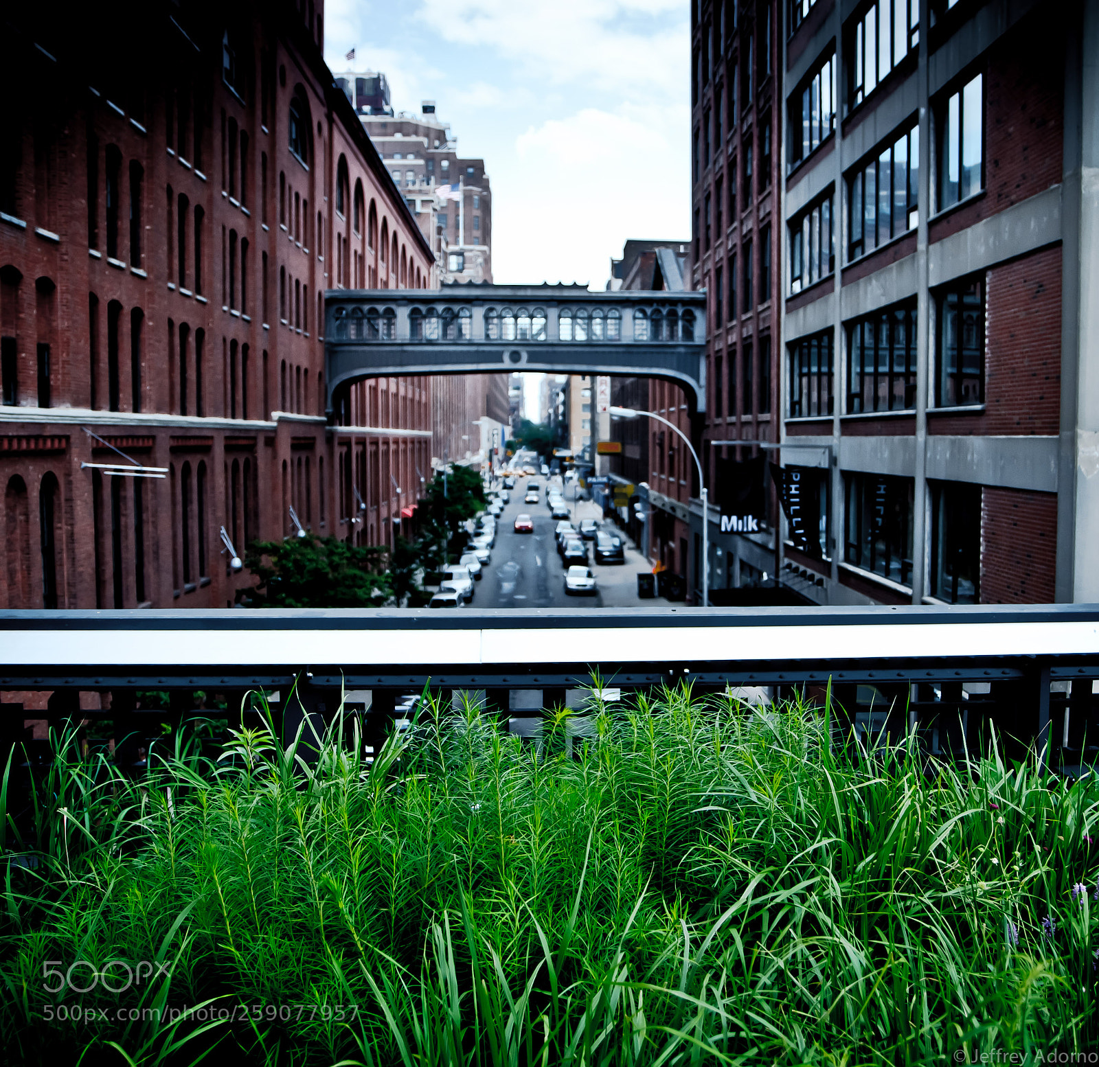 Nikon D300S sample photo. Highline photography
