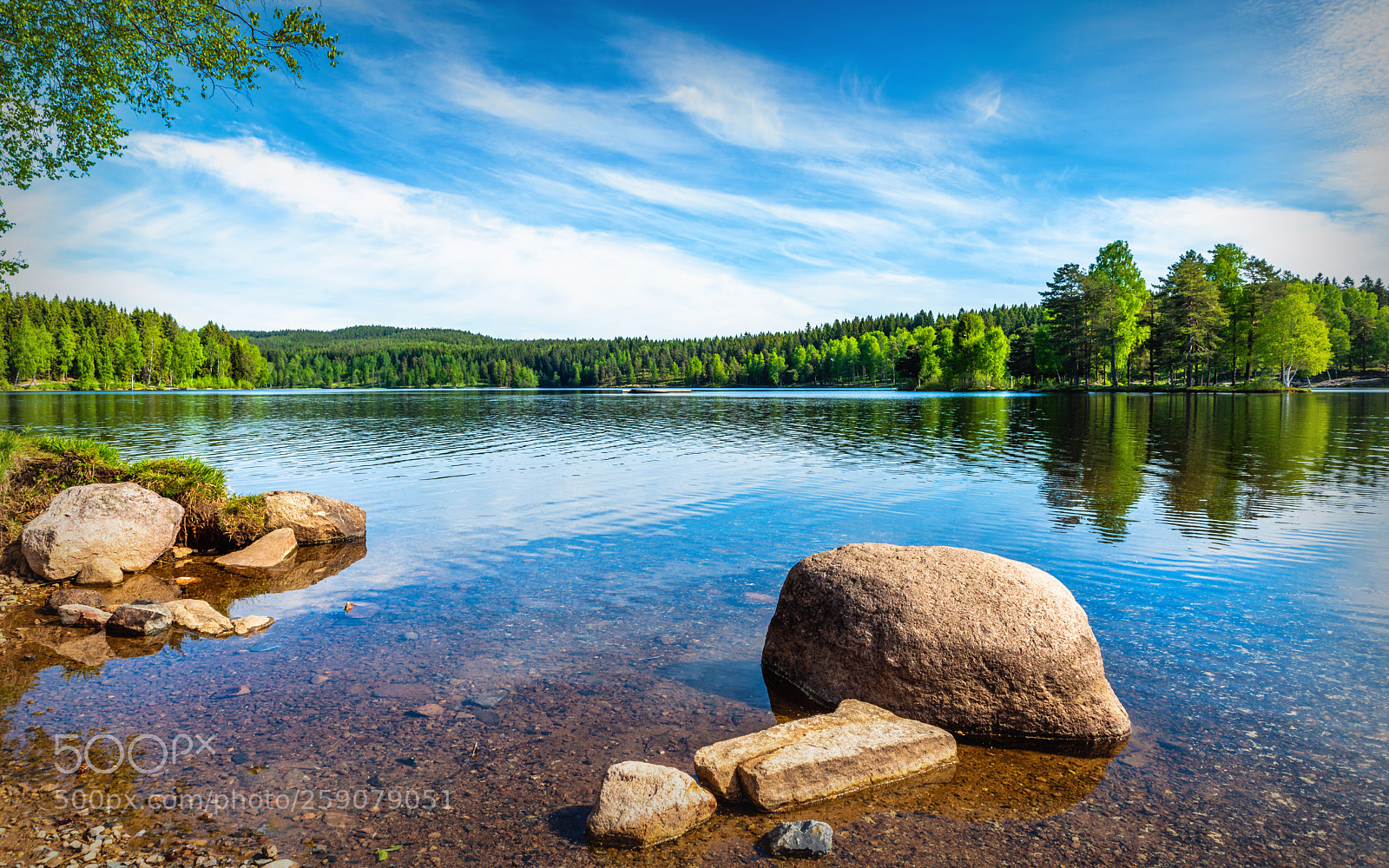 Nikon D800 sample photo. Calm sognsvann photography