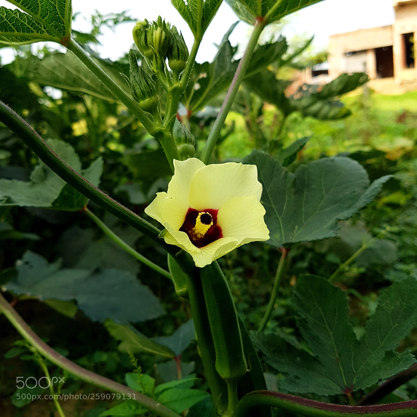 Samsung Galaxy S7 Edge sample photo. Untitled photography
