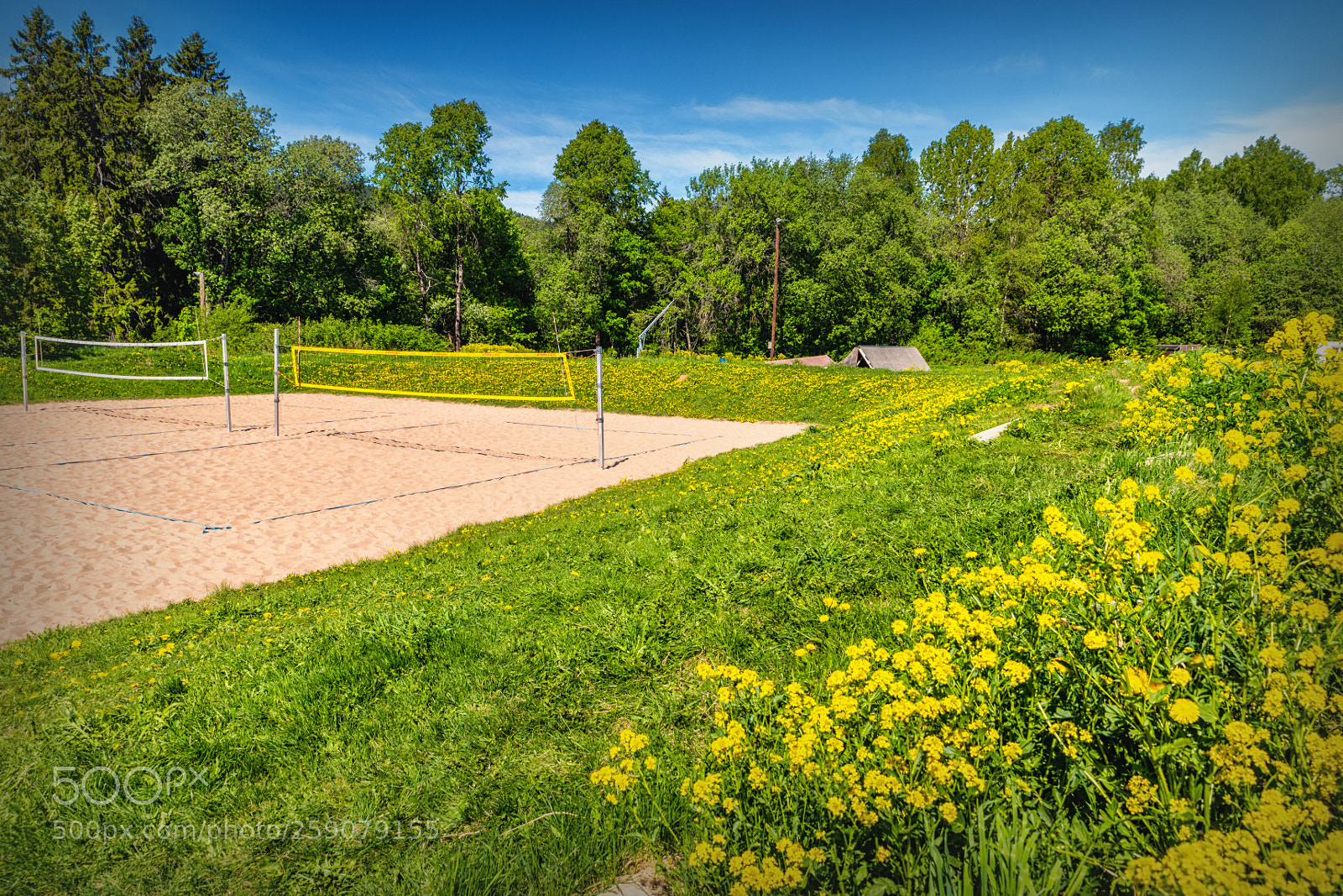 Nikon D800 sample photo. Volleyball court photography