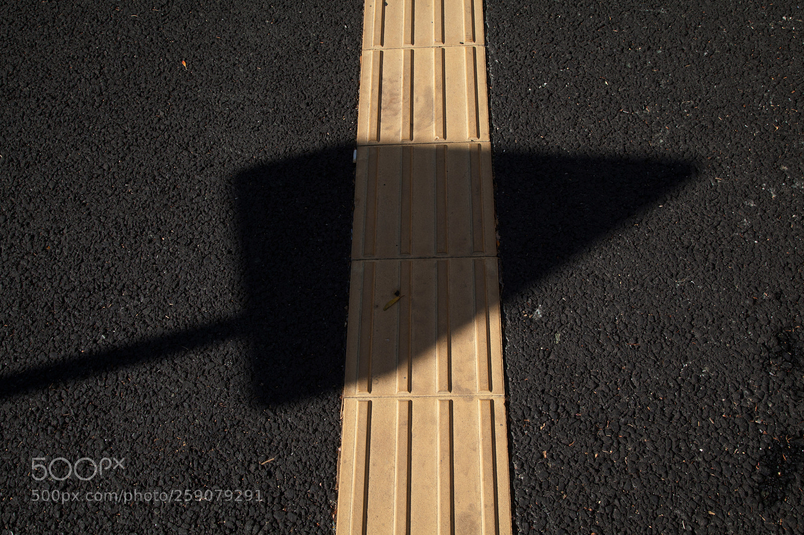 Canon EOS 5D Mark II sample photo. Who is it to photography
