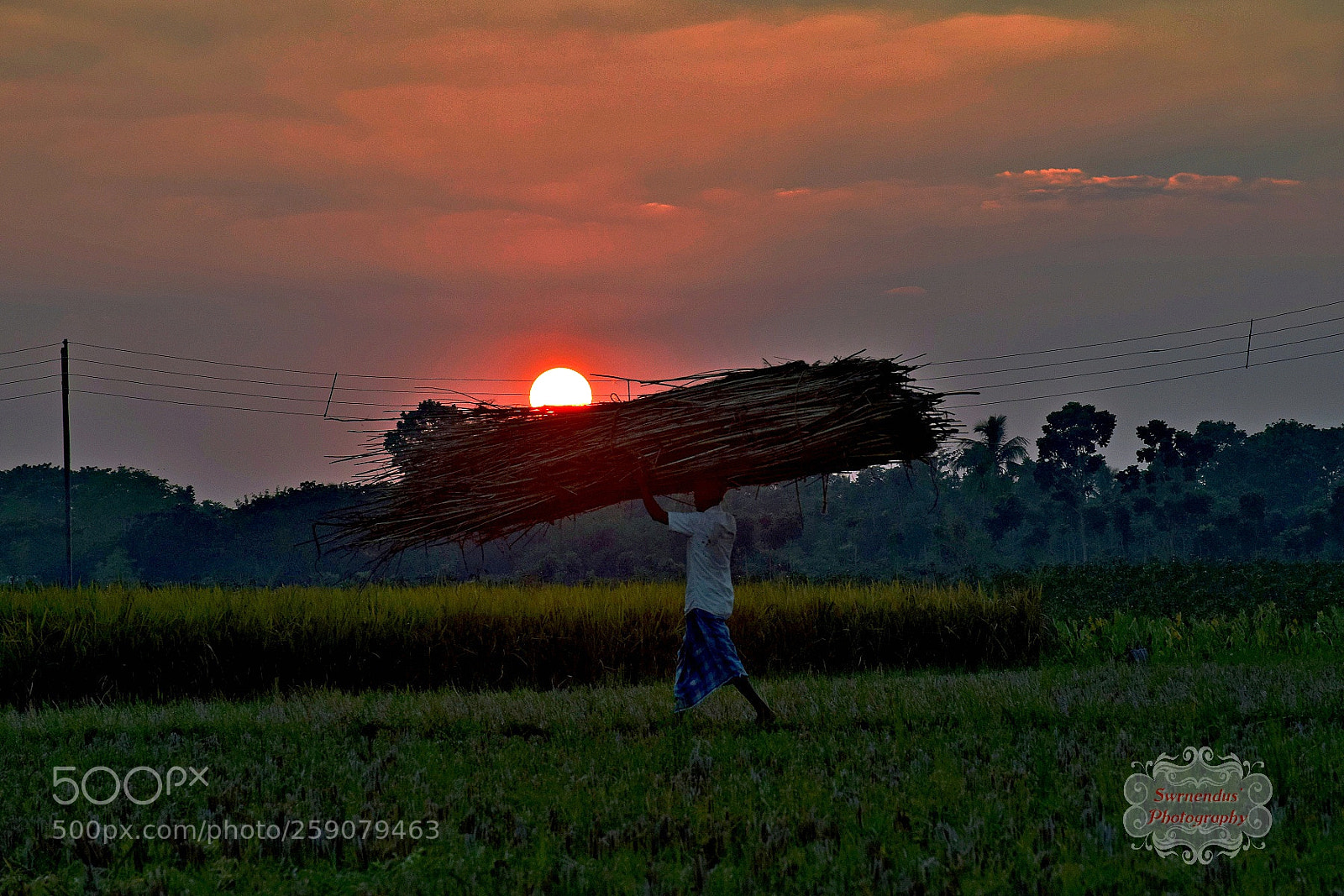 Nikon D5300 sample photo. Evening saga photography