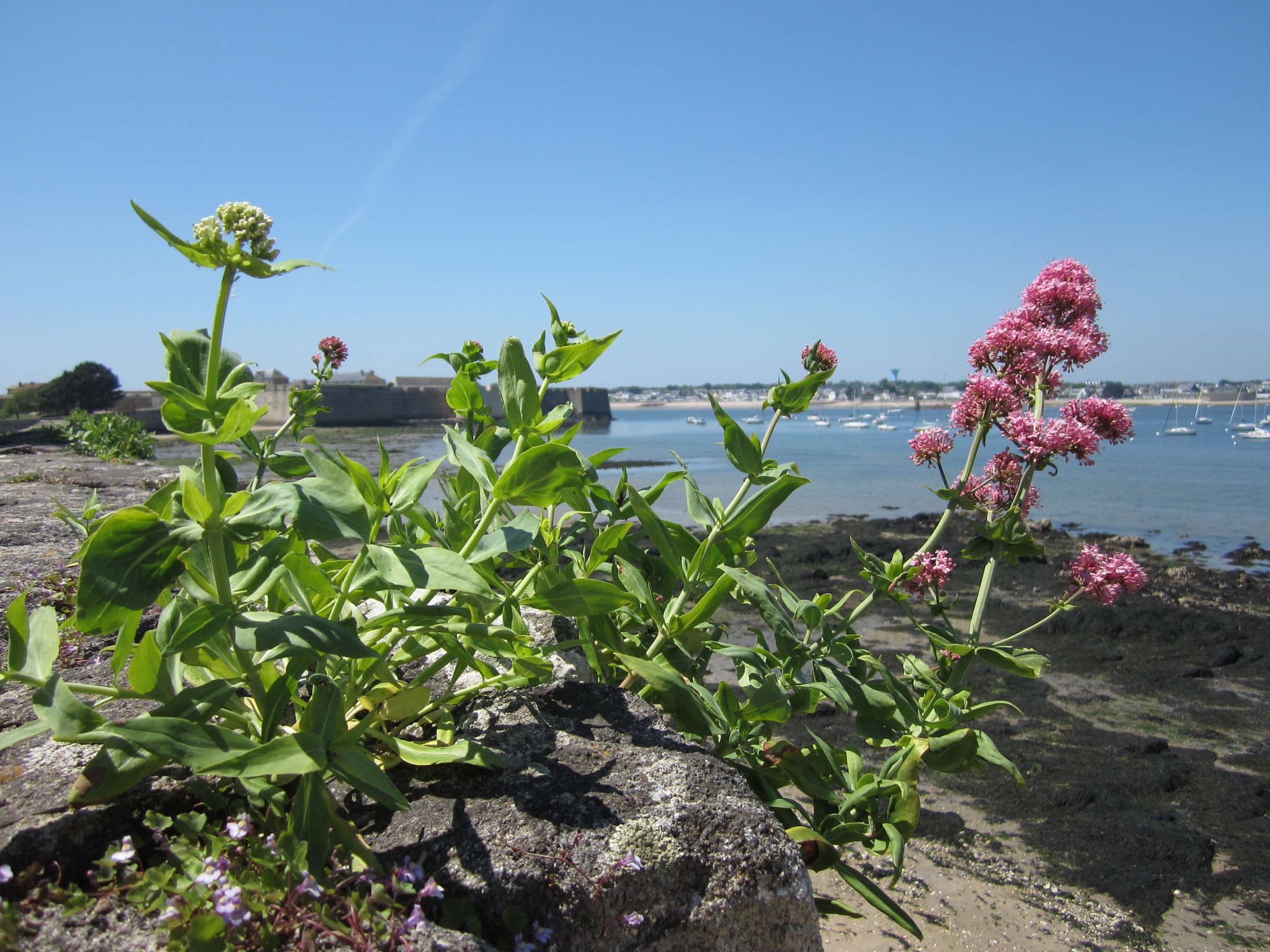 Canon PowerShot ELPH 100 HS (IXUS 115 HS / IXY 210F) sample photo. Port-louis morbihan  photography