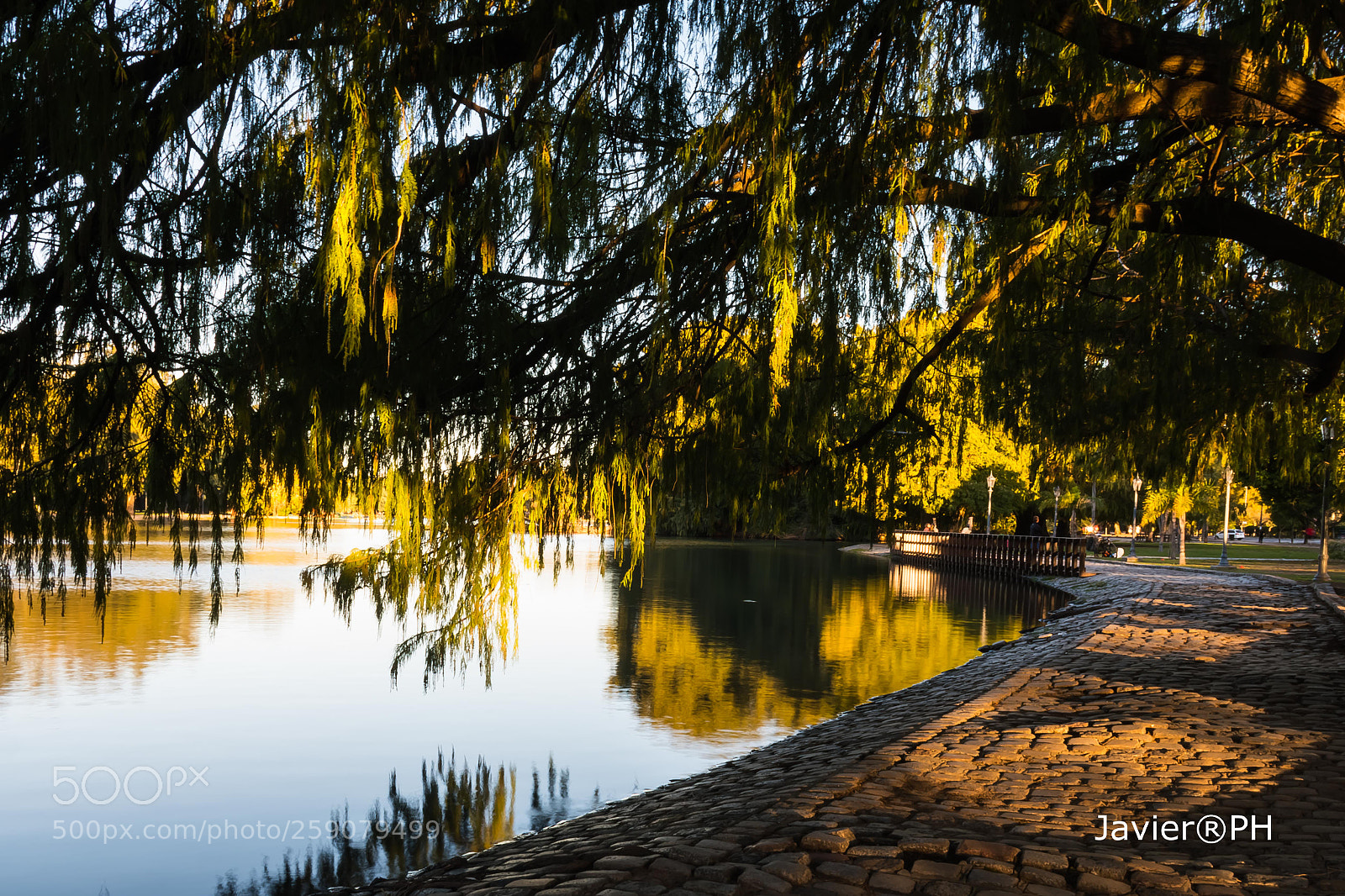 Nikon D7500 sample photo. Autumn sun photography