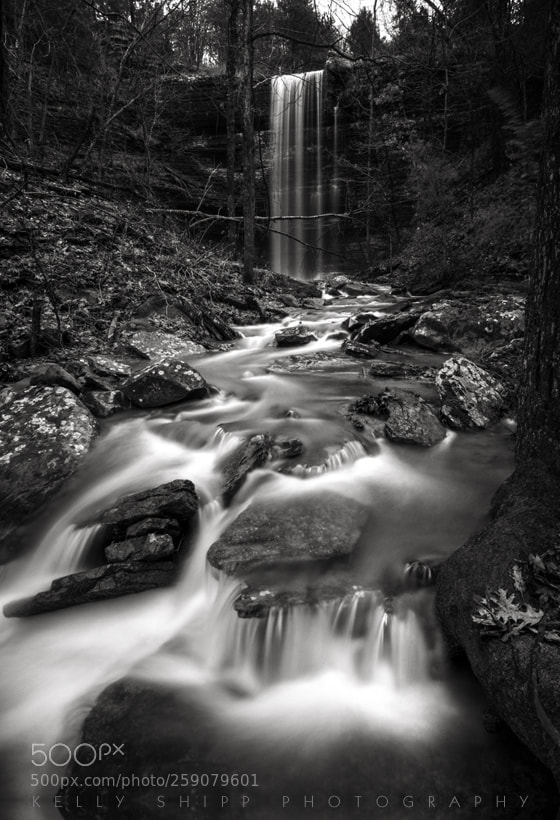 Nikon D300S sample photo. Peaceful transitions photography